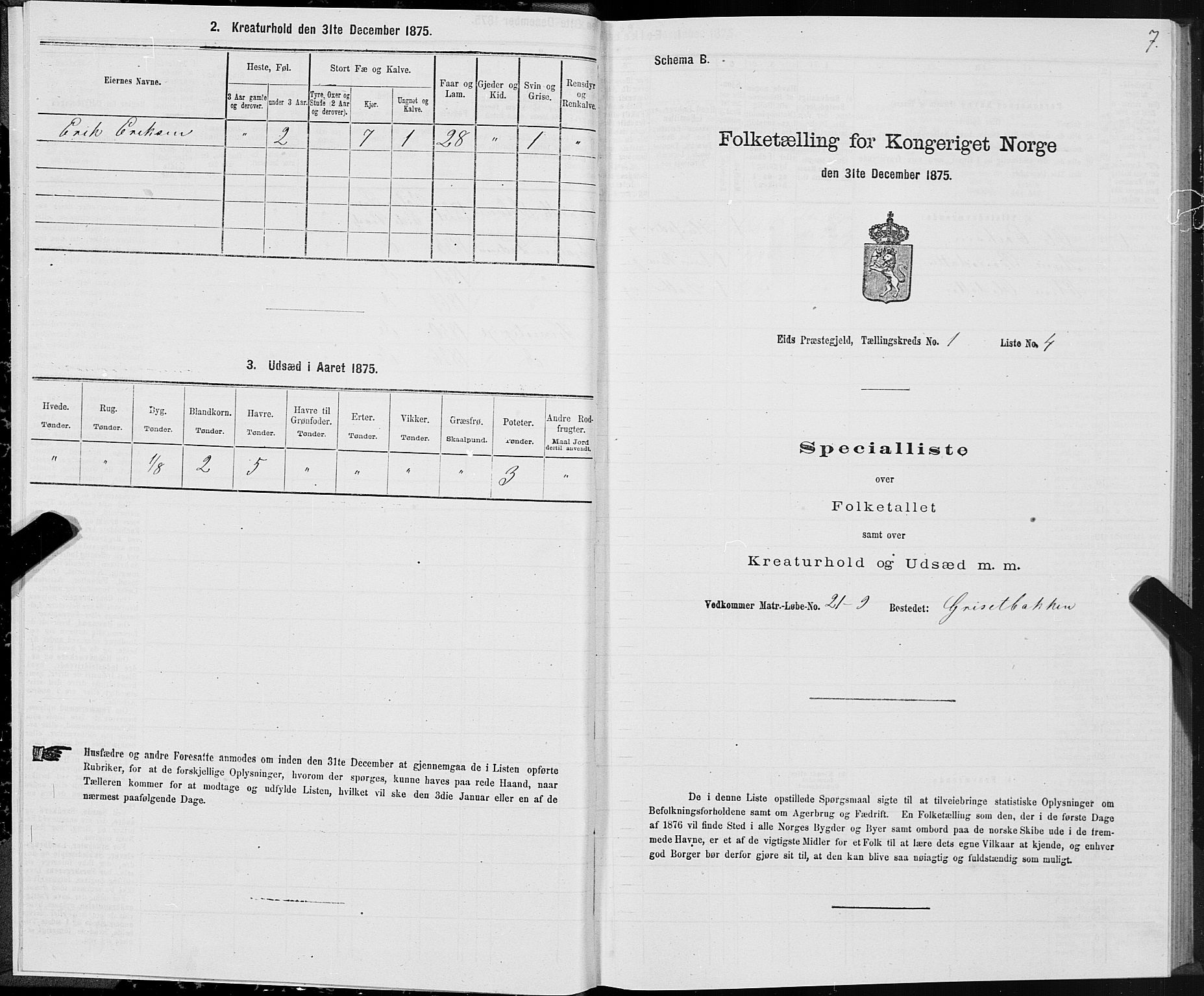 SAT, Folketelling 1875 for 1538P Eid prestegjeld, 1875, s. 1007