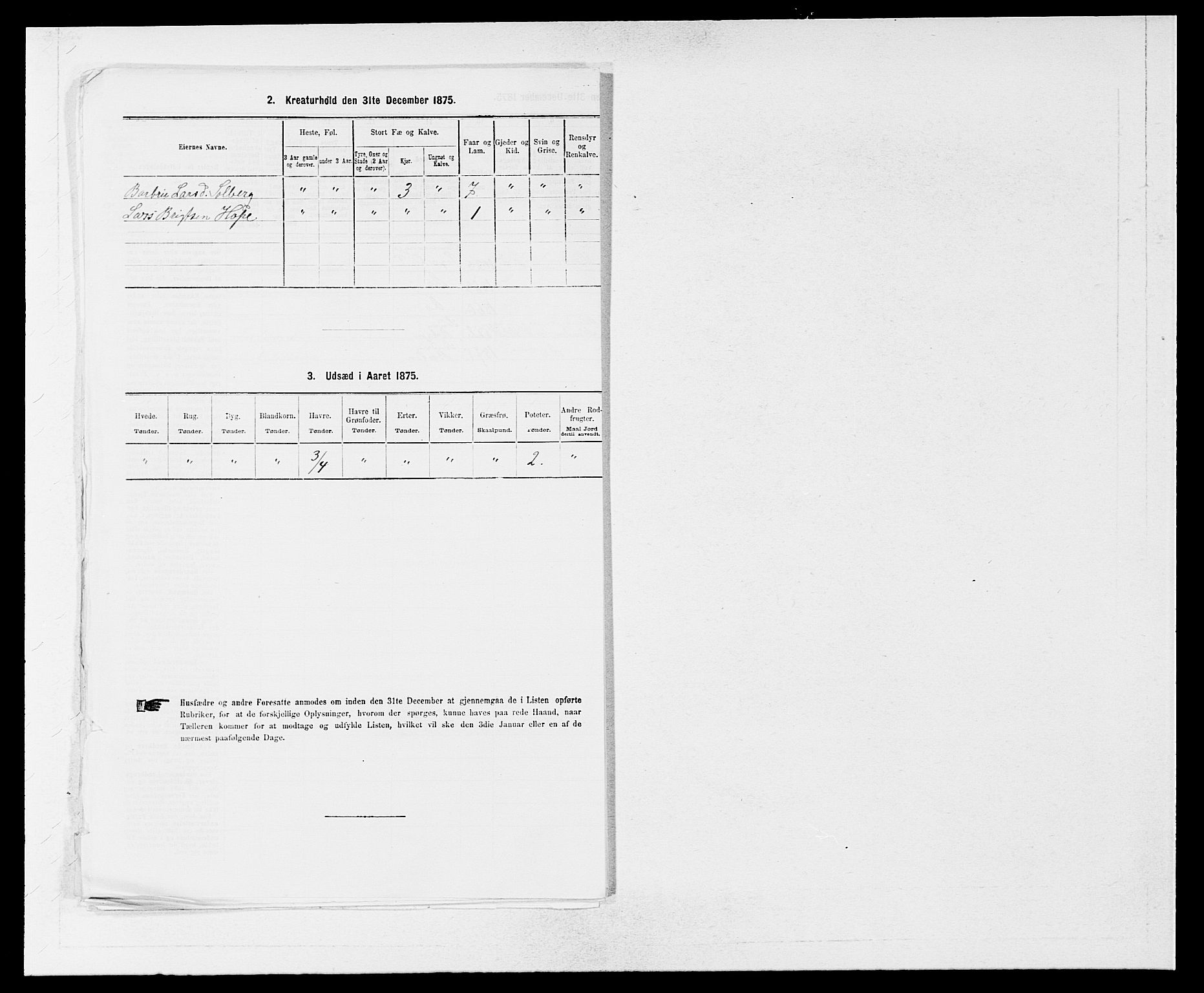 SAB, Folketelling 1875 for 1243P Os prestegjeld, 1875, s. 896