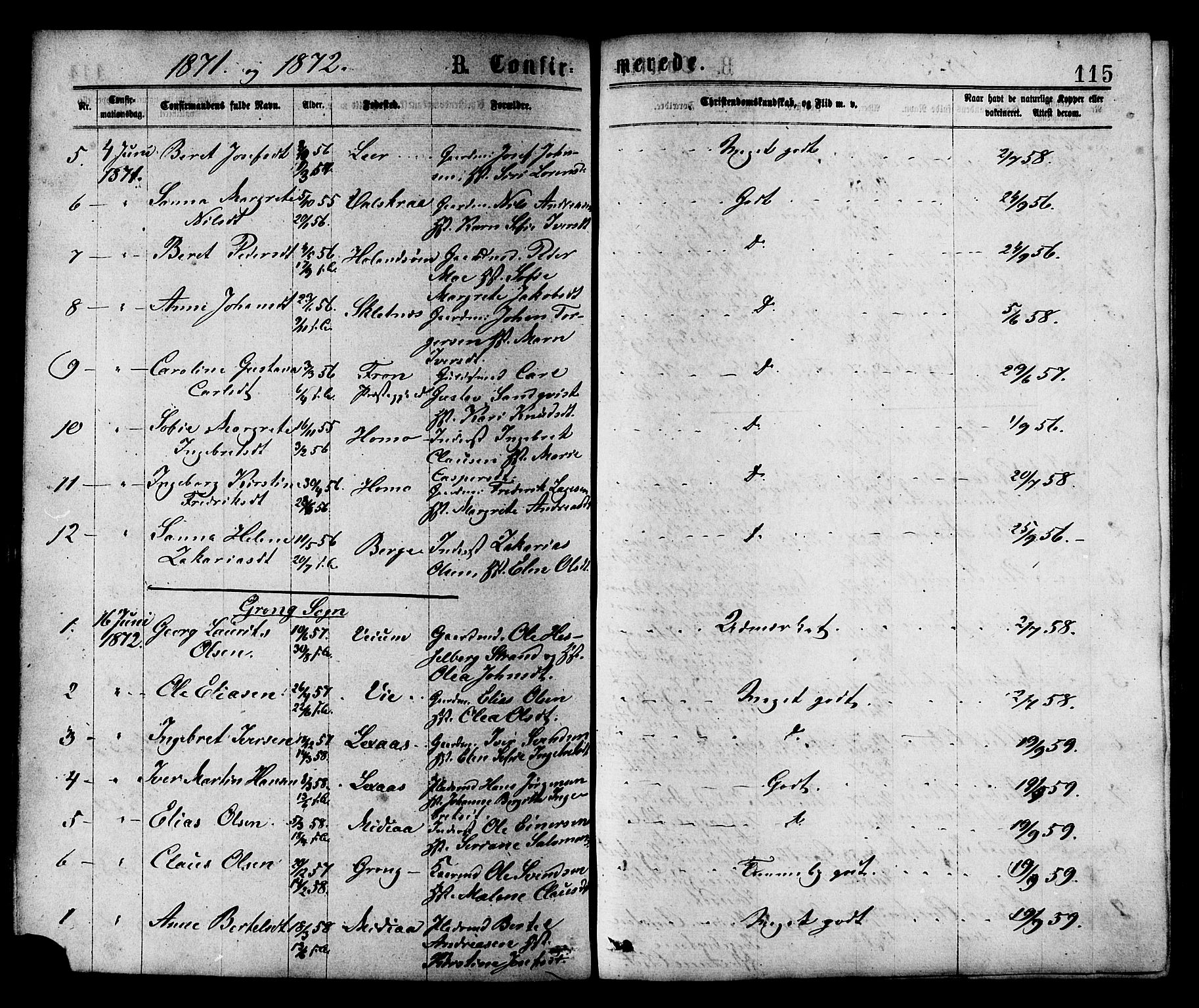 Ministerialprotokoller, klokkerbøker og fødselsregistre - Nord-Trøndelag, AV/SAT-A-1458/758/L0516: Ministerialbok nr. 758A03 /1, 1869-1879, s. 115