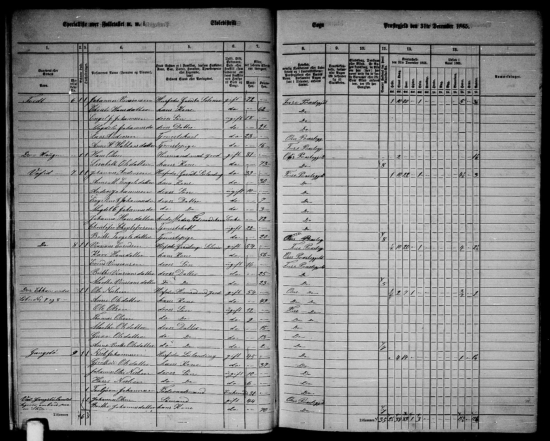 RA, Folketelling 1865 for 1241P Fusa prestegjeld, 1865, s. 13