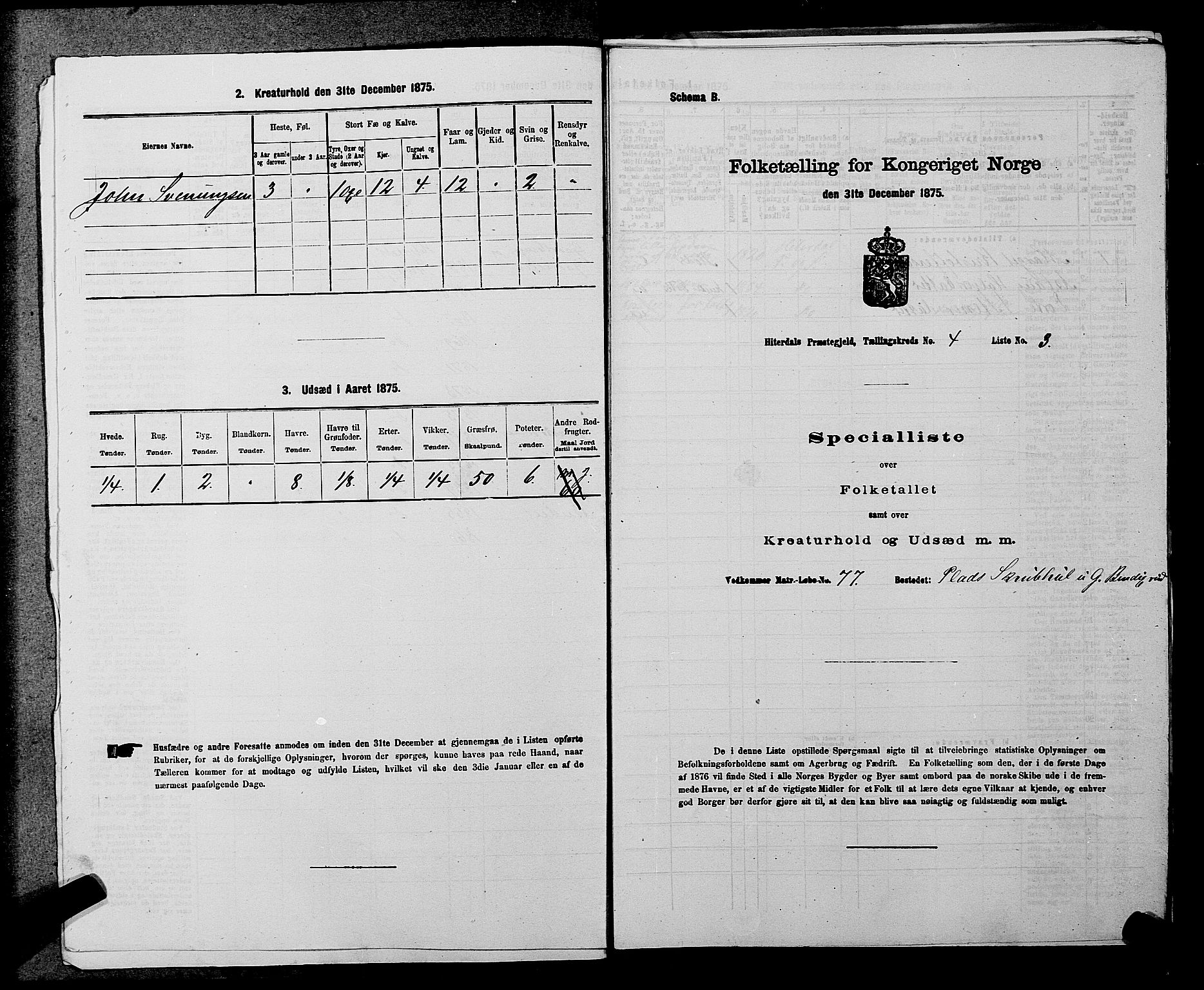 SAKO, Folketelling 1875 for 0823P Heddal prestegjeld, 1875, s. 581