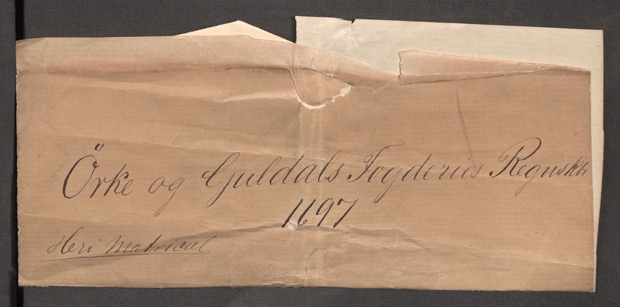 Rentekammeret inntil 1814, Reviderte regnskaper, Fogderegnskap, AV/RA-EA-4092/R60/L3947: Fogderegnskap Orkdal og Gauldal, 1697, s. 265