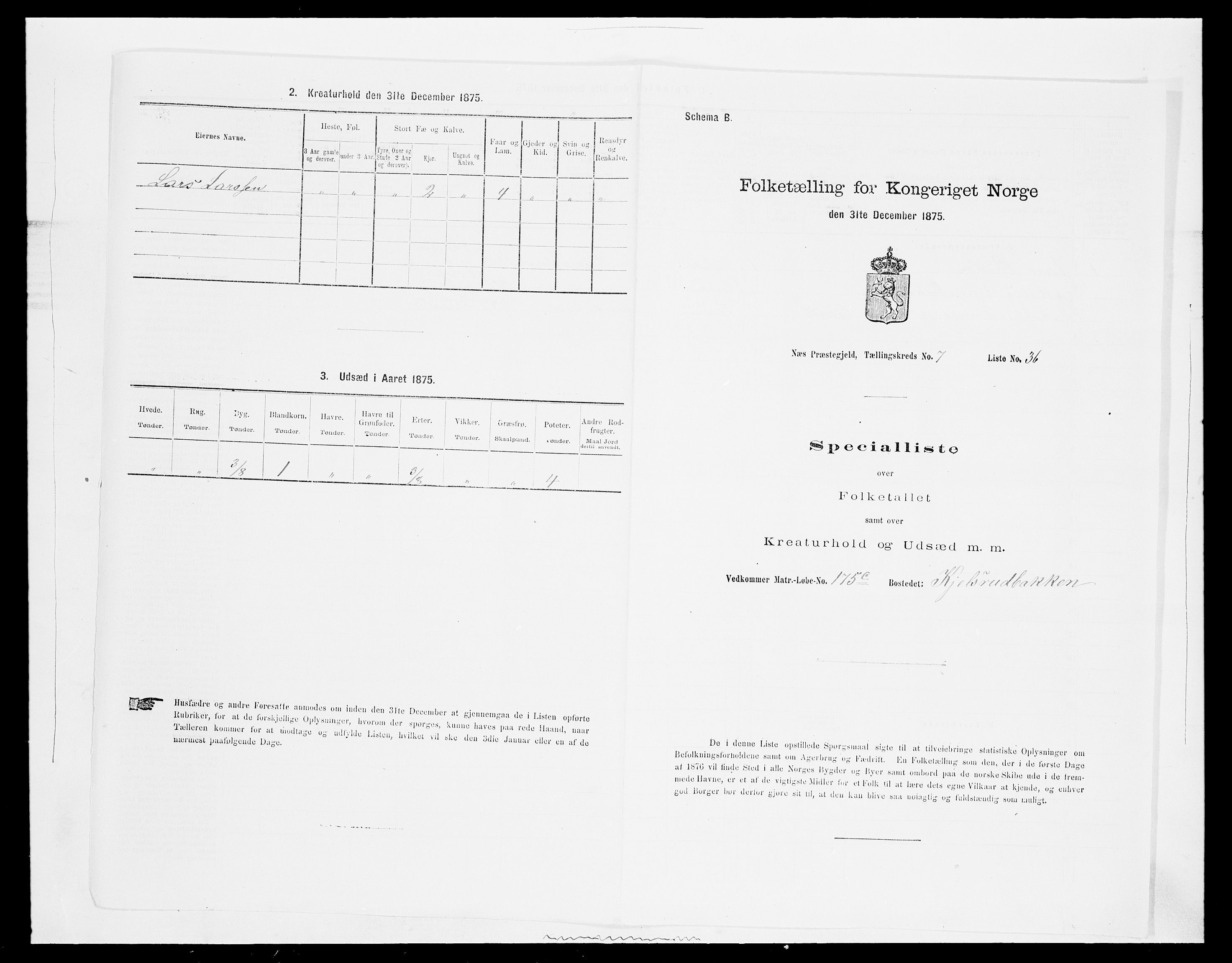 SAH, Folketelling 1875 for 0411P Nes prestegjeld, 1875, s. 1271