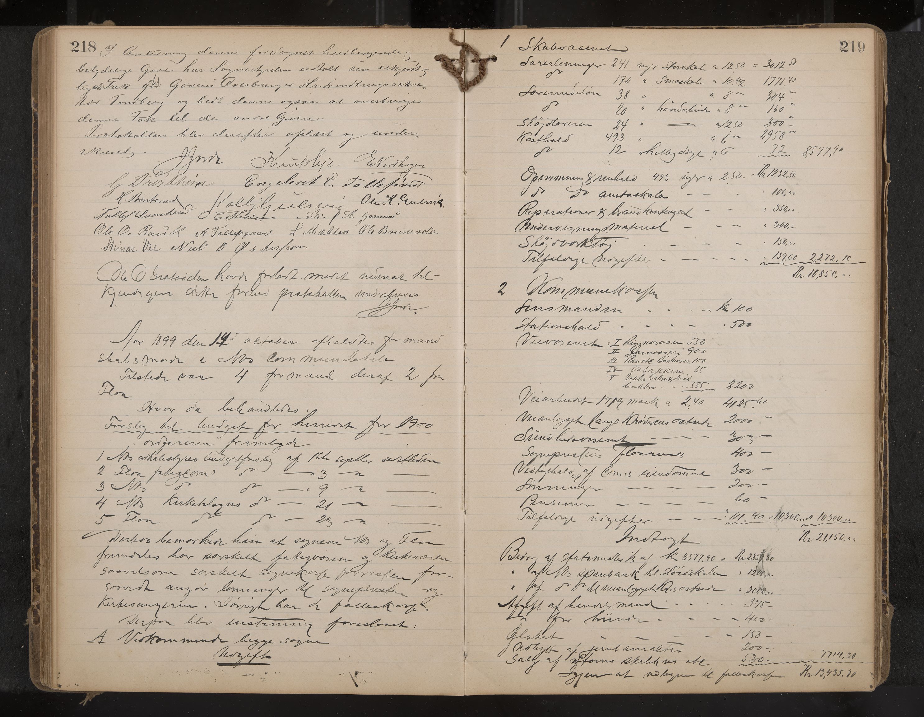 Nes formannskap og sentraladministrasjon, IKAK/0616021-1/A/Aa/L0003: Møtebok med register, 1894-1904, s. 218-219