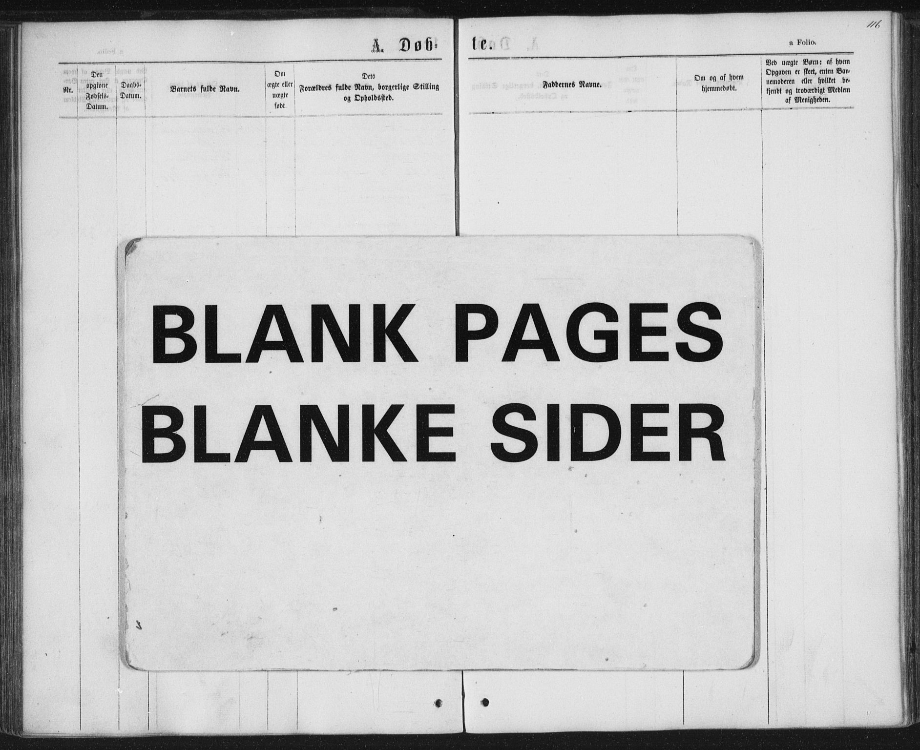 Ministerialprotokoller, klokkerbøker og fødselsregistre - Nordland, AV/SAT-A-1459/852/L0739: Ministerialbok nr. 852A09, 1866-1877, s. 116