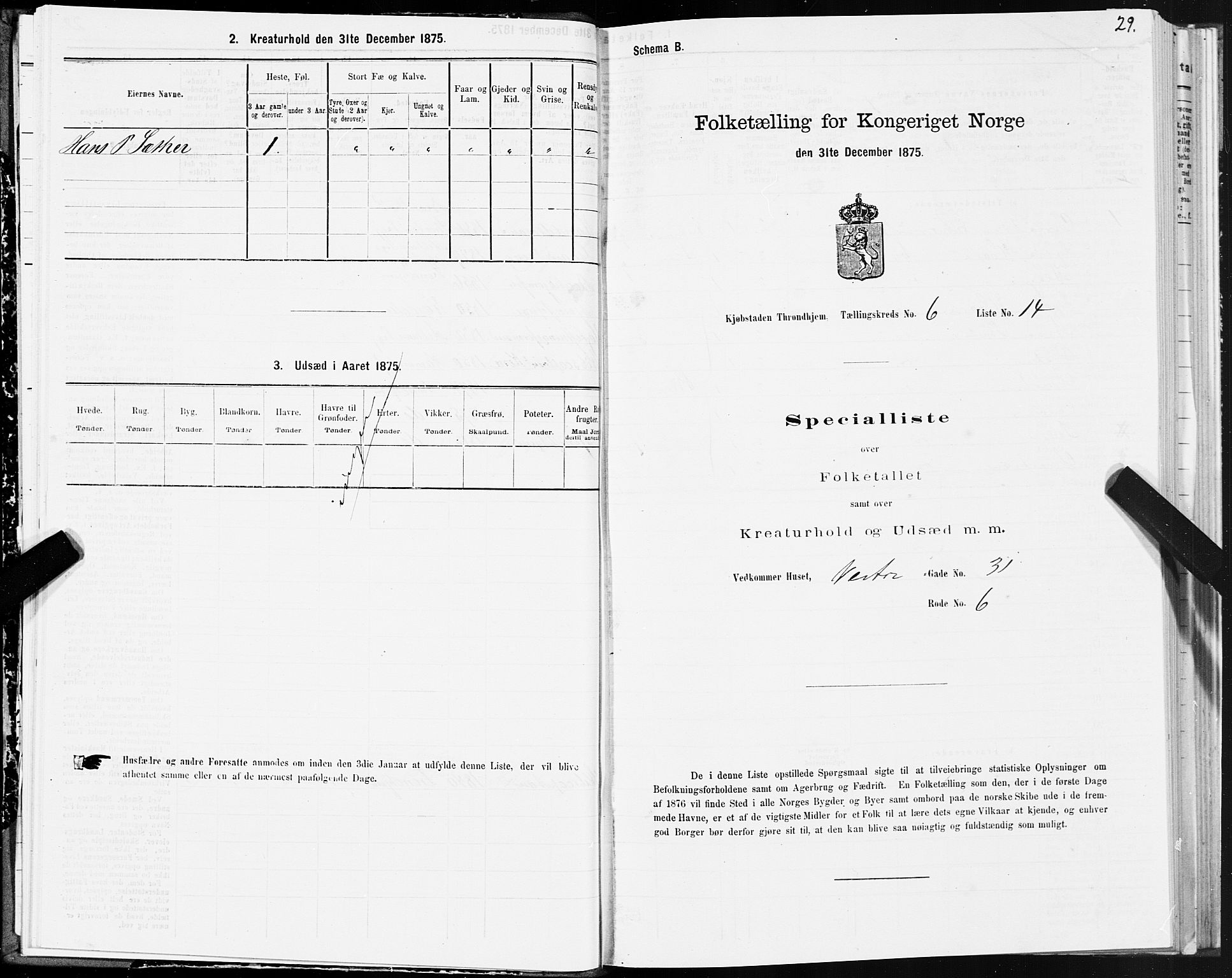 SAT, Folketelling 1875 for 1601 Trondheim kjøpstad, 1875, s. 4029