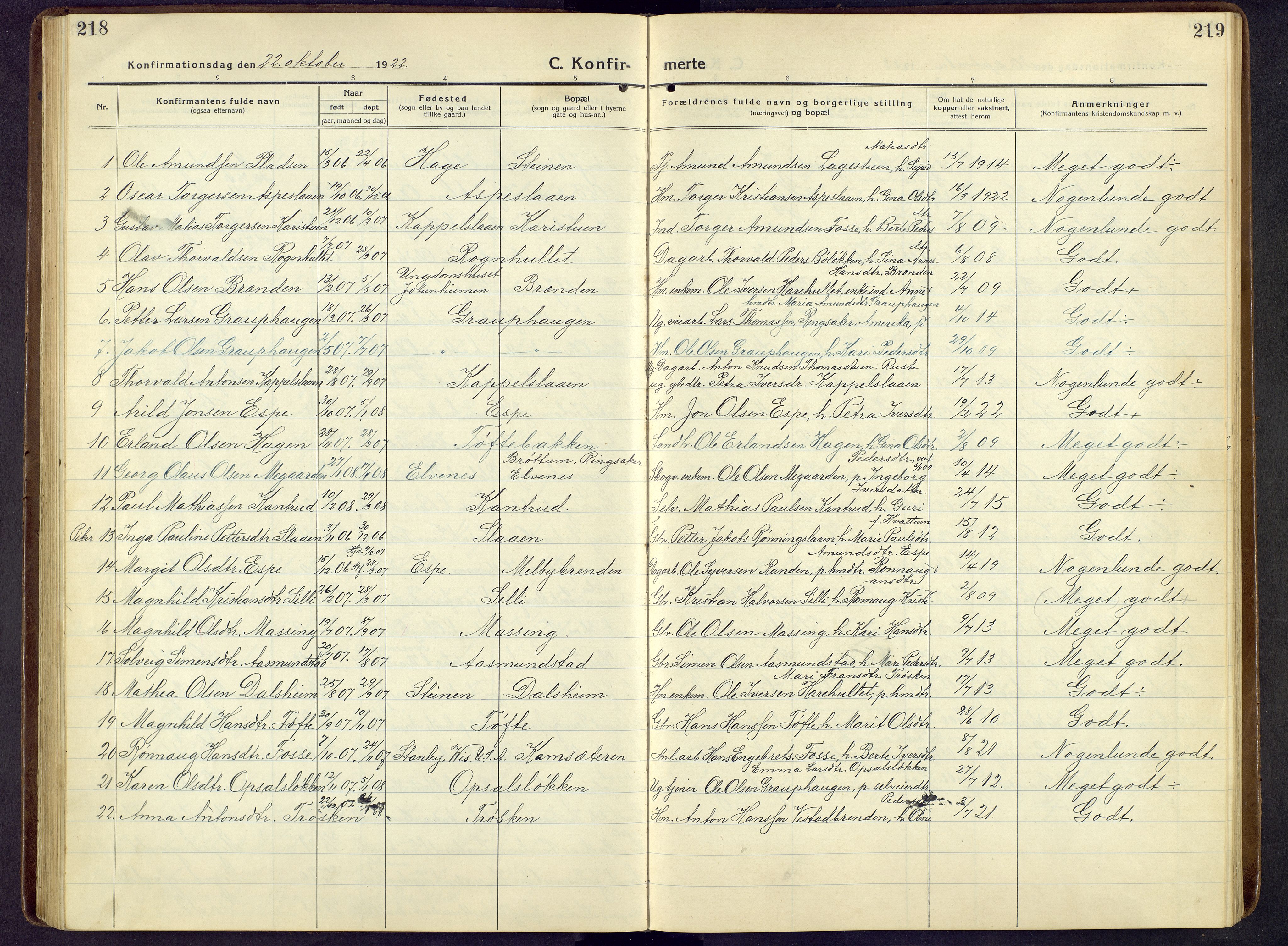 Nord-Fron prestekontor, AV/SAH-PREST-080/H/Ha/Hab/L0009: Klokkerbok nr. 9, 1915-1958, s. 218-219