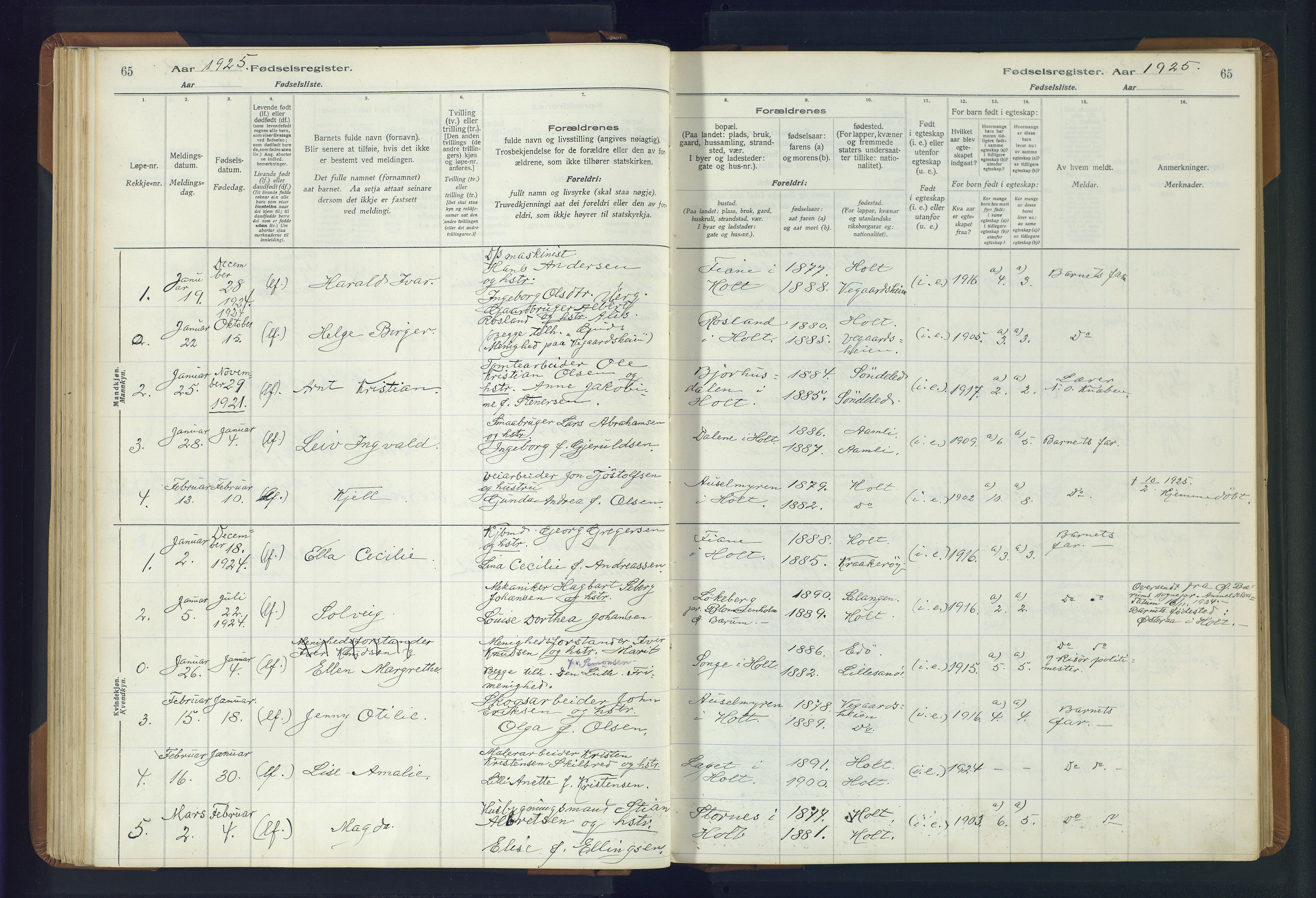 Holt sokneprestkontor, SAK/1111-0021/J/Ja/L0001: Fødselsregister nr. II.4.1, 1916-1946, s. 65
