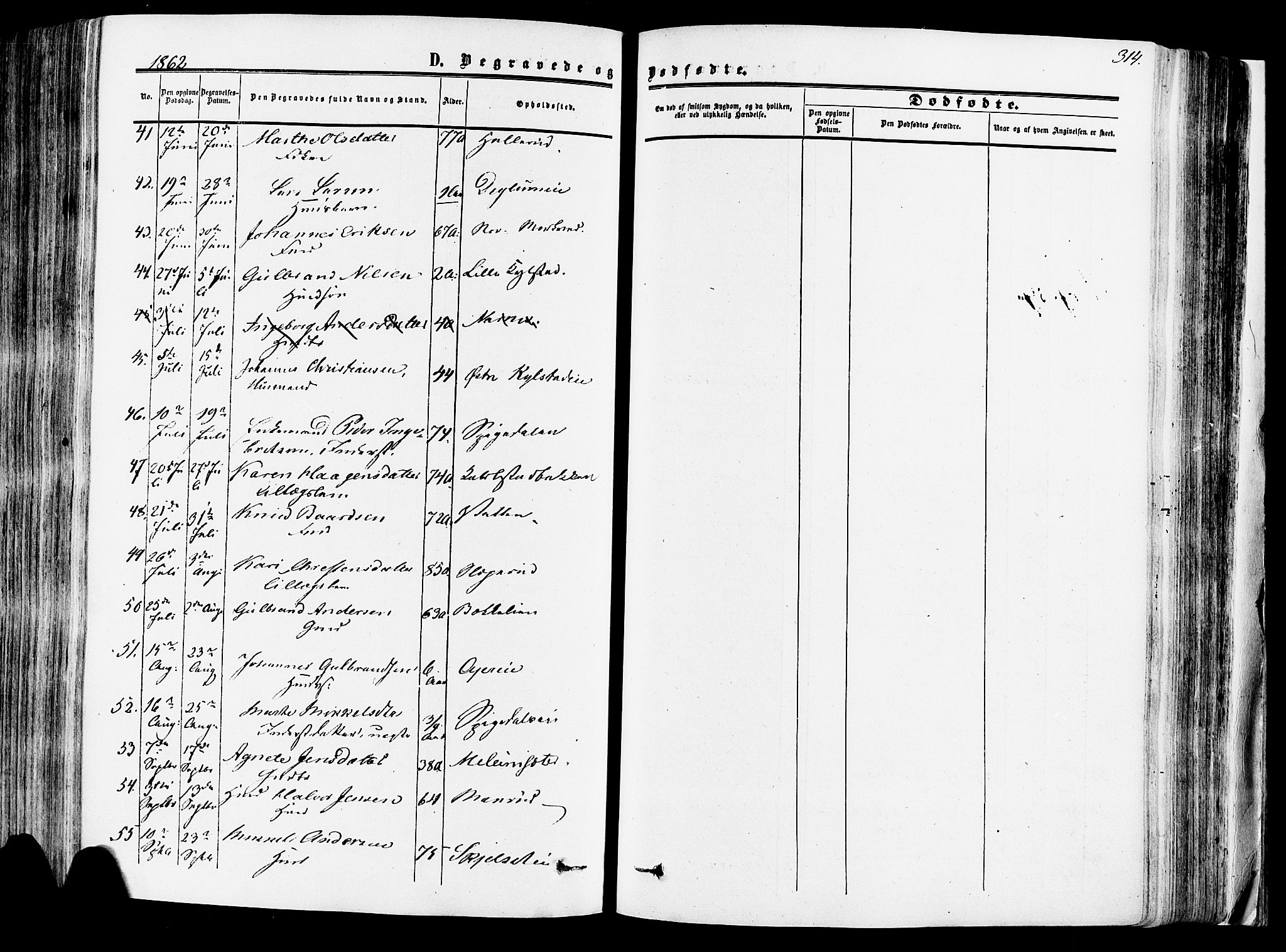 Vang prestekontor, Hedmark, SAH/PREST-008/H/Ha/Haa/L0013: Ministerialbok nr. 13, 1855-1879, s. 314