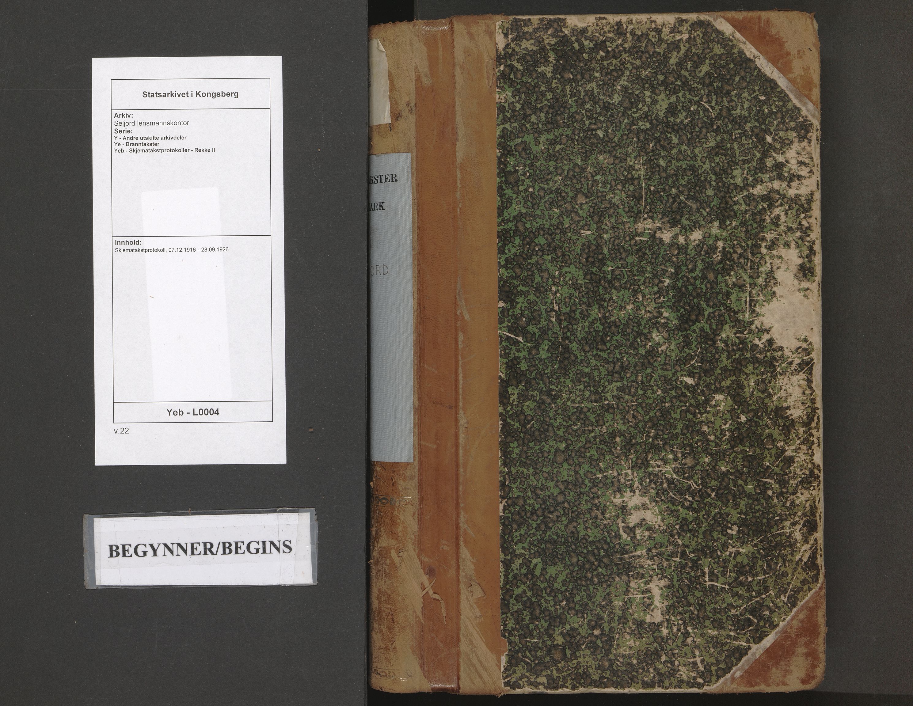 Seljord lensmannskontor, AV/SAKO-A-572/Y/Ye/Yeb/L0004: Skjematakstprotokoll, 1916-1926