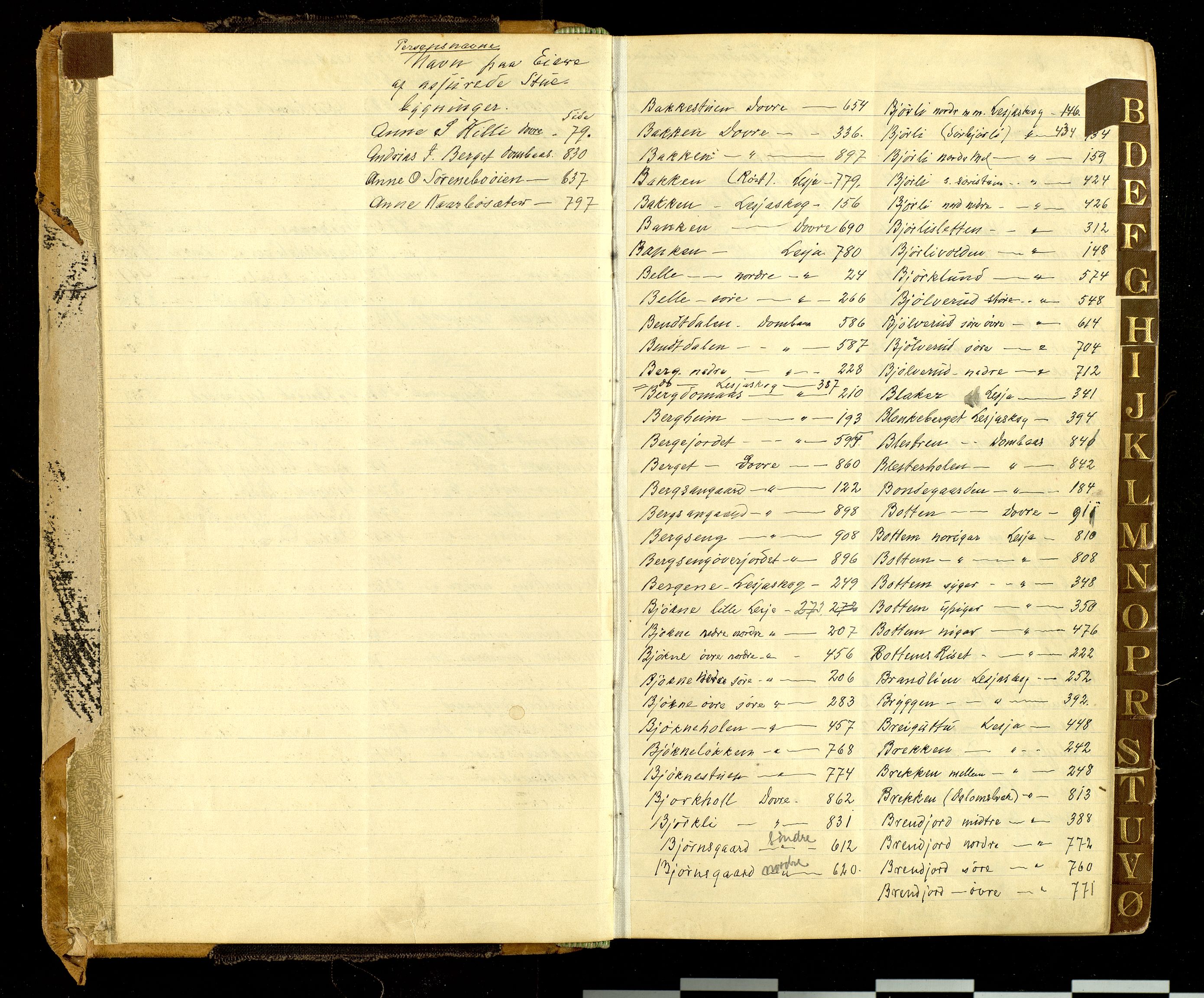 Norges Brannkasse, Lesja og Dovre, AV/SAH-NBRAND-030/F/L0005: Branntakstprotokoll, 1923