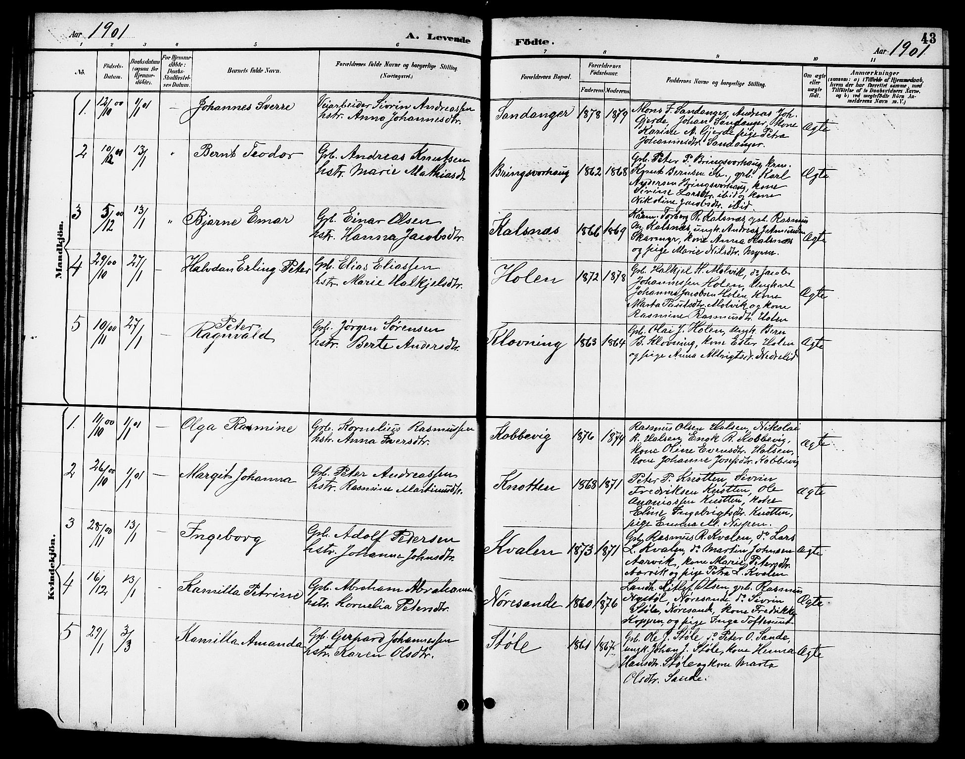 Ministerialprotokoller, klokkerbøker og fødselsregistre - Møre og Romsdal, AV/SAT-A-1454/503/L0049: Klokkerbok nr. 503C04, 1894-1915, s. 43