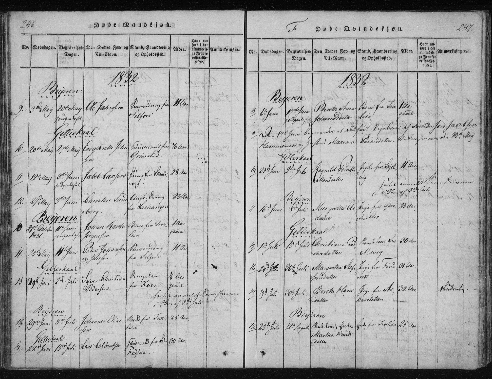 Ministerialprotokoller, klokkerbøker og fødselsregistre - Nordland, AV/SAT-A-1459/805/L0096: Ministerialbok nr. 805A03, 1820-1837, s. 246-247