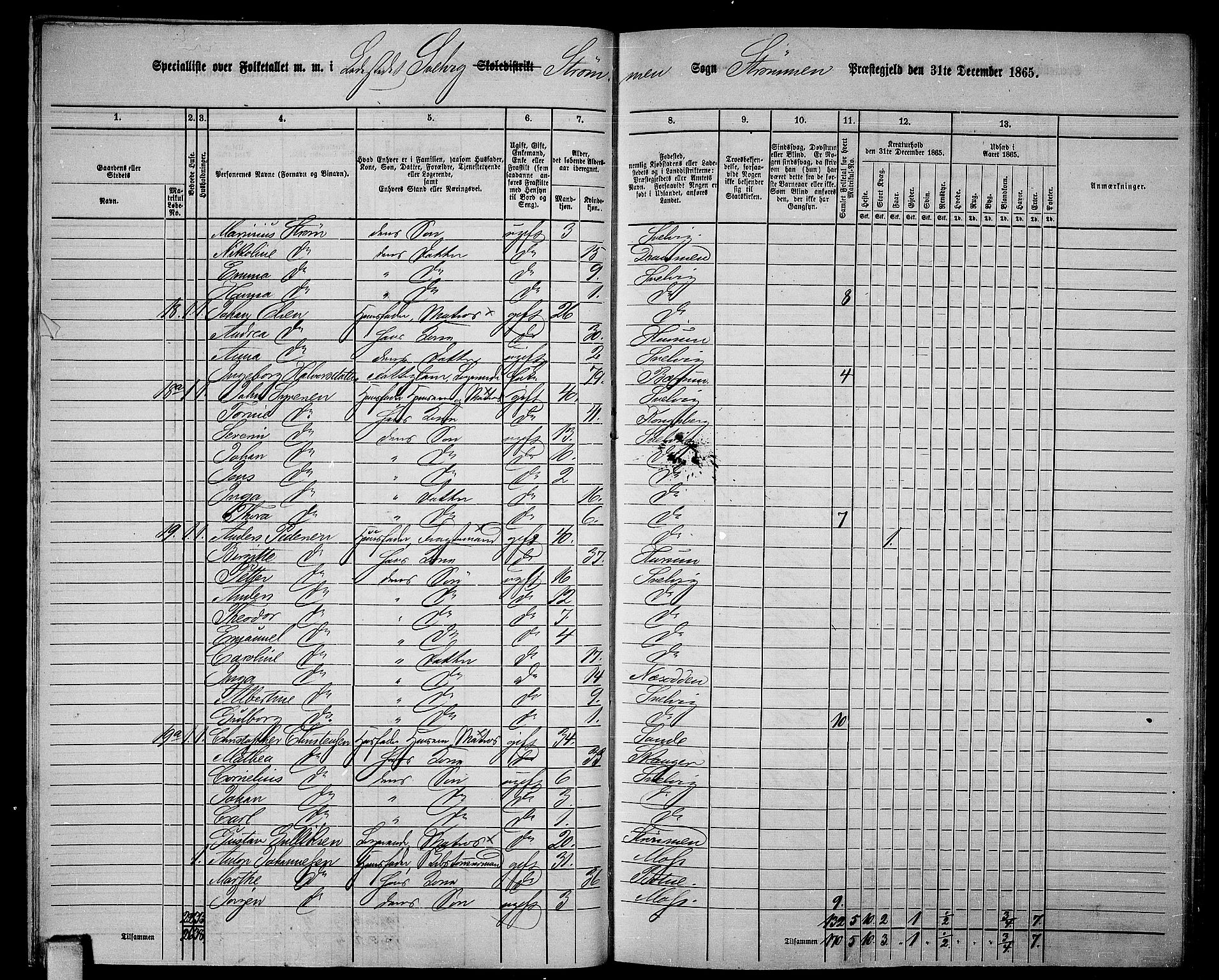 RA, Folketelling 1865 for 0711P Strømm prestegjeld, 1865, s. 66