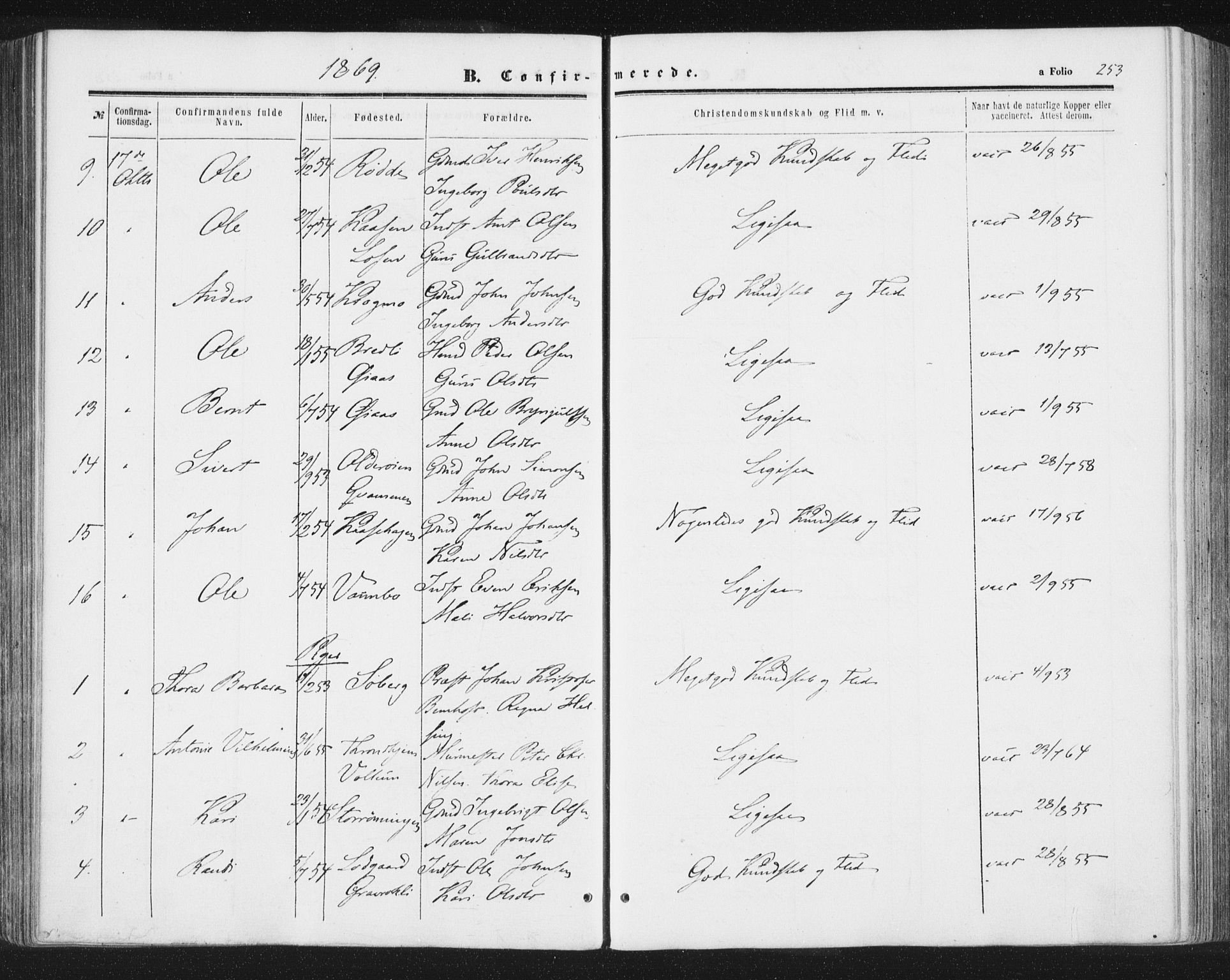 Ministerialprotokoller, klokkerbøker og fødselsregistre - Sør-Trøndelag, SAT/A-1456/691/L1077: Ministerialbok nr. 691A09, 1862-1873, s. 253