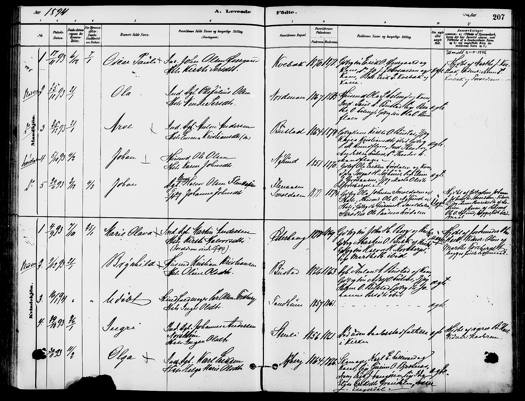 Trysil prestekontor, AV/SAH-PREST-046/H/Ha/Haa/L0008: Ministerialbok nr. 8, 1881-1897, s. 207