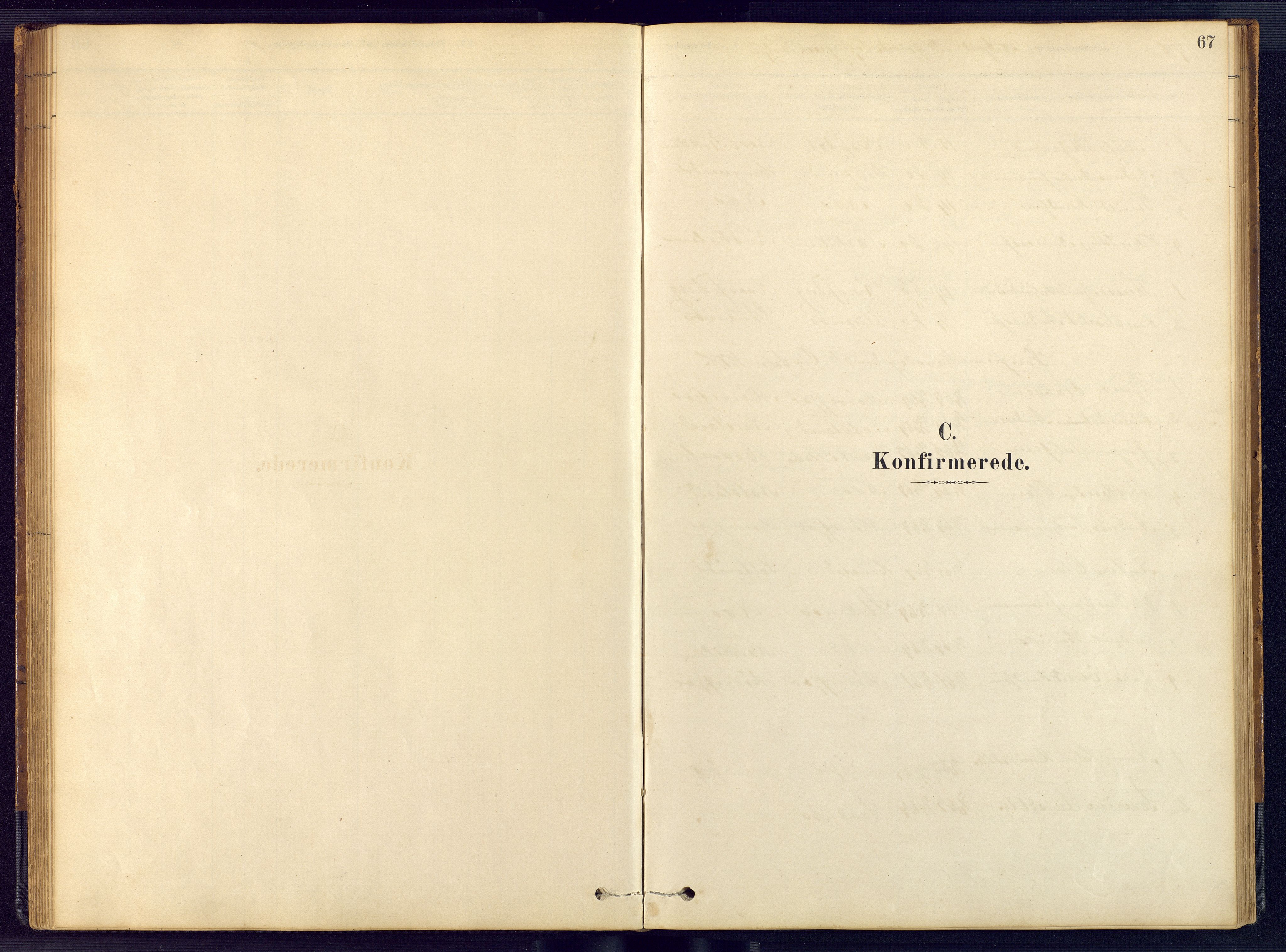 Austre Moland sokneprestkontor, AV/SAK-1111-0001/F/Fb/Fbb/L0001: Klokkerbok nr. B 1, 1878-1904, s. 67