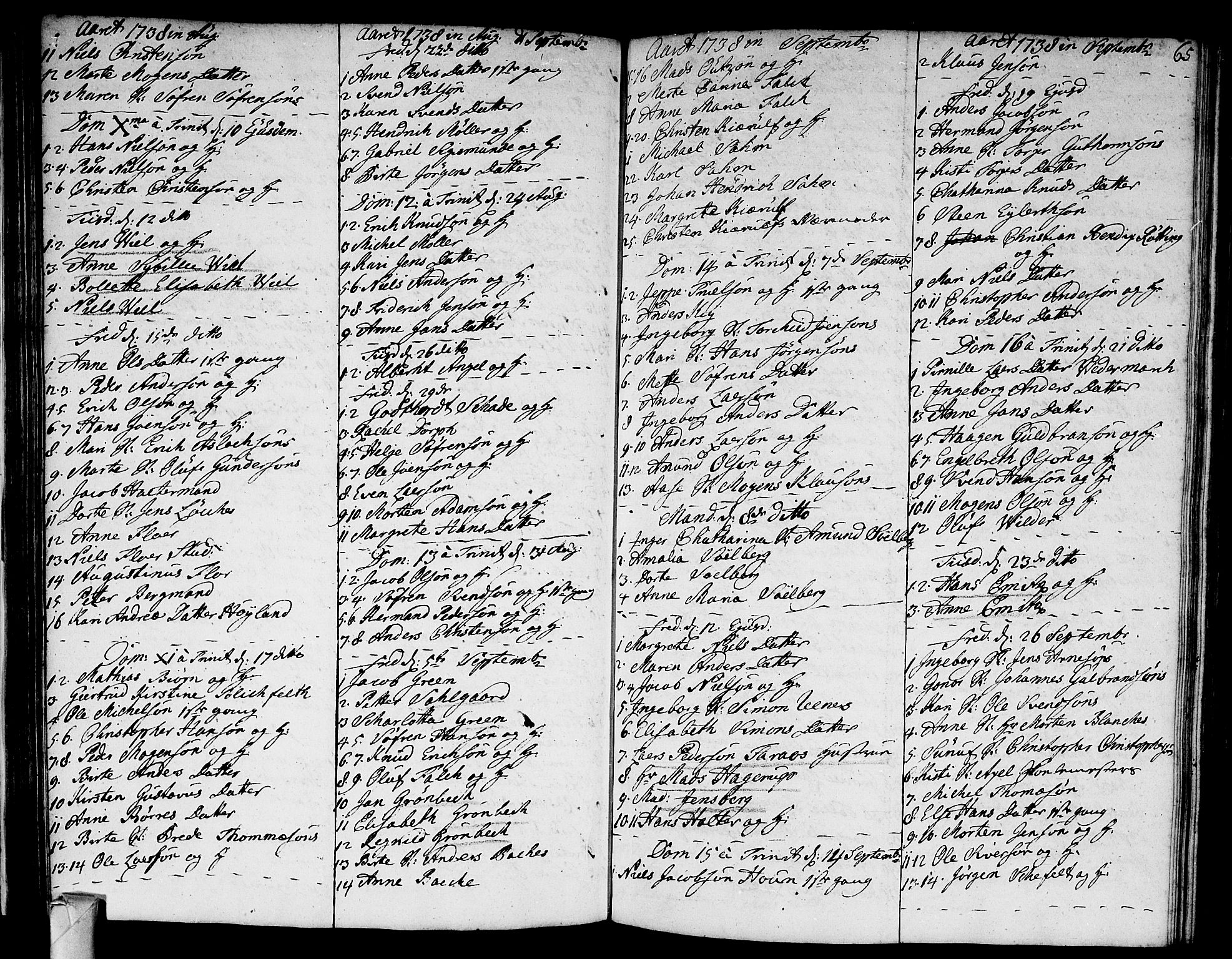 Strømsø kirkebøker, AV/SAKO-A-246/F/Fa/L0005: Ministerialbok nr. I 5, 1734-1739, s. 65