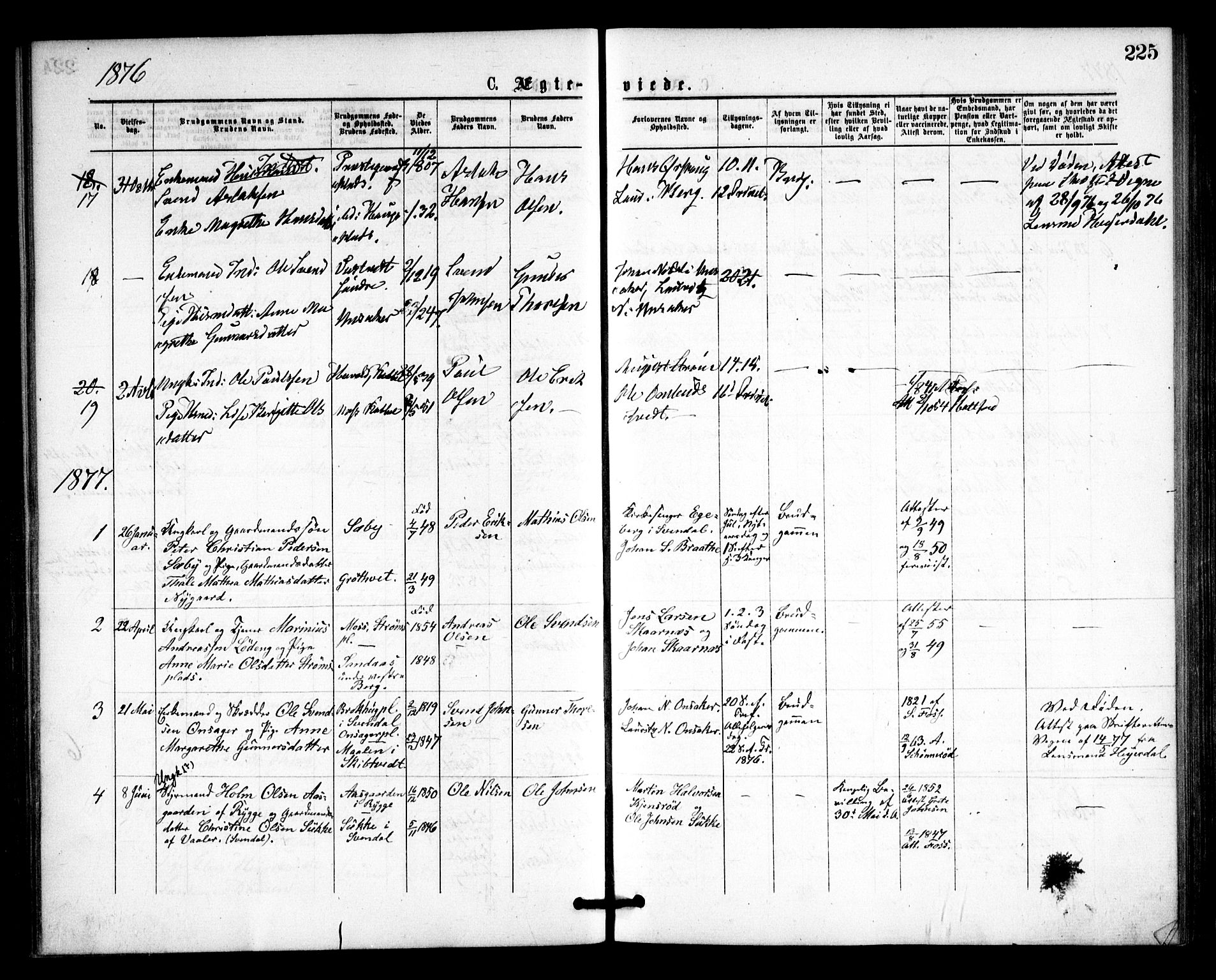 Våler prestekontor Kirkebøker, AV/SAO-A-11083/F/Fa/L0009: Ministerialbok nr. I 9, 1873-1877, s. 225