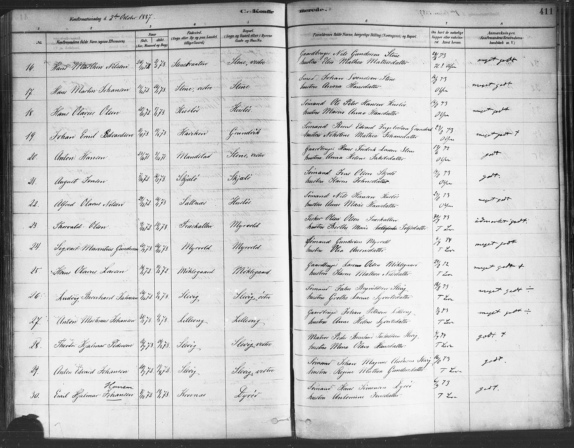 Onsøy prestekontor Kirkebøker, AV/SAO-A-10914/F/Fa/L0005: Ministerialbok nr. I 5, 1878-1898, s. 411