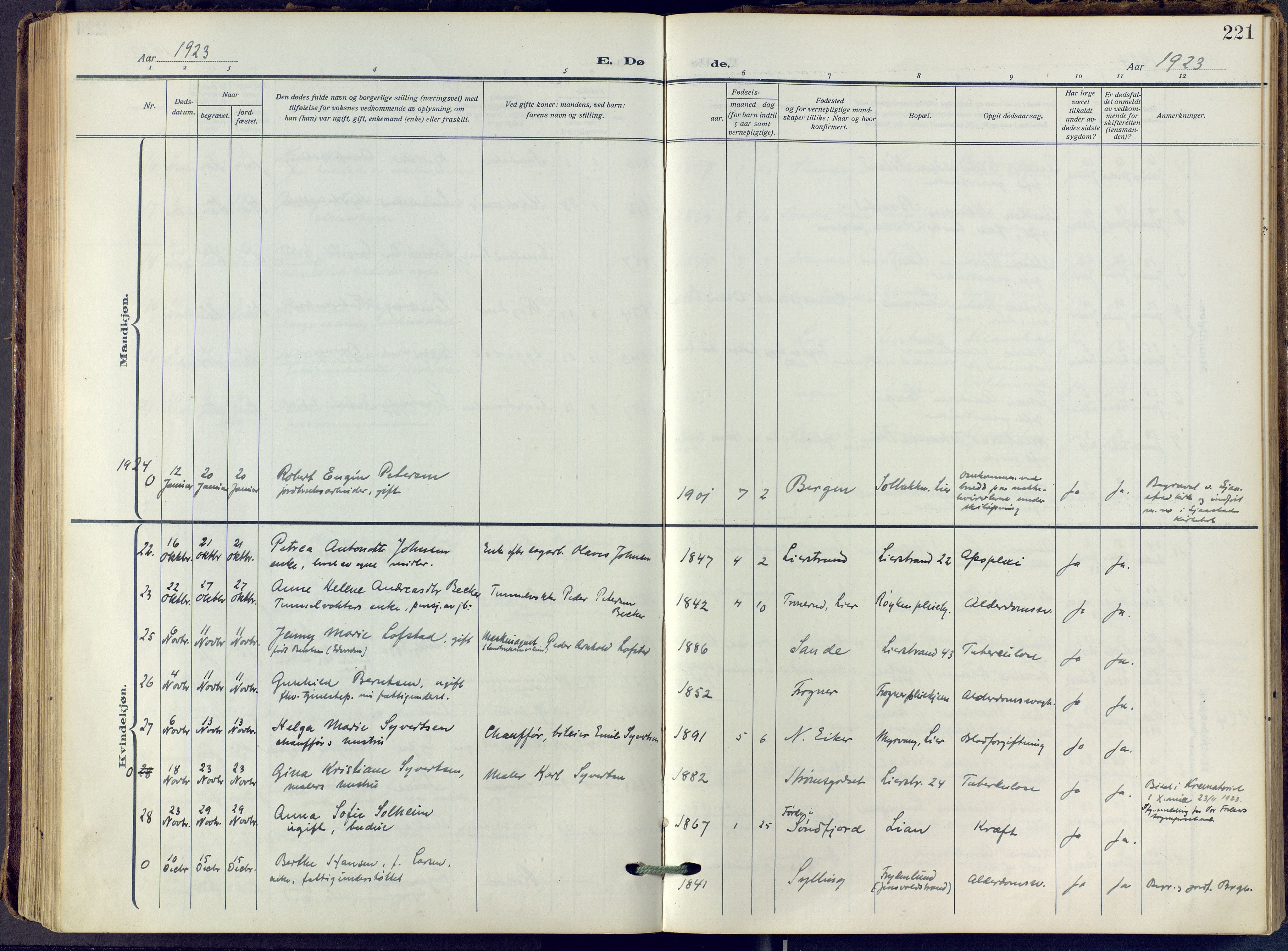 Lier kirkebøker, SAKO/A-230/F/Fa/L0019: Ministerialbok nr. I 19, 1918-1928, s. 221