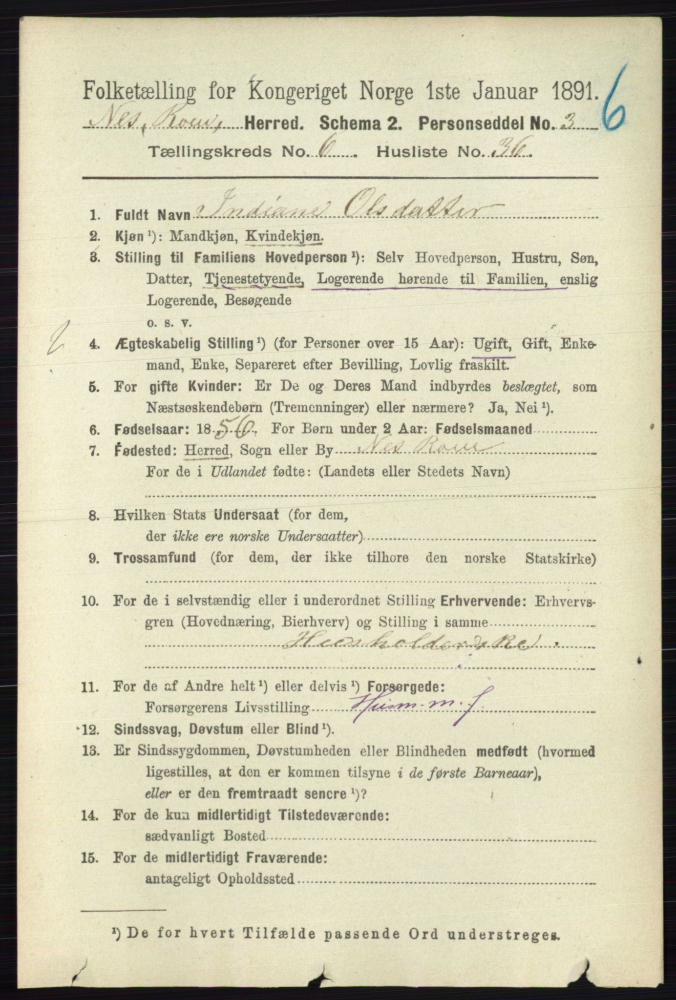 RA, Folketelling 1891 for 0236 Nes herred, 1891, s. 3612
