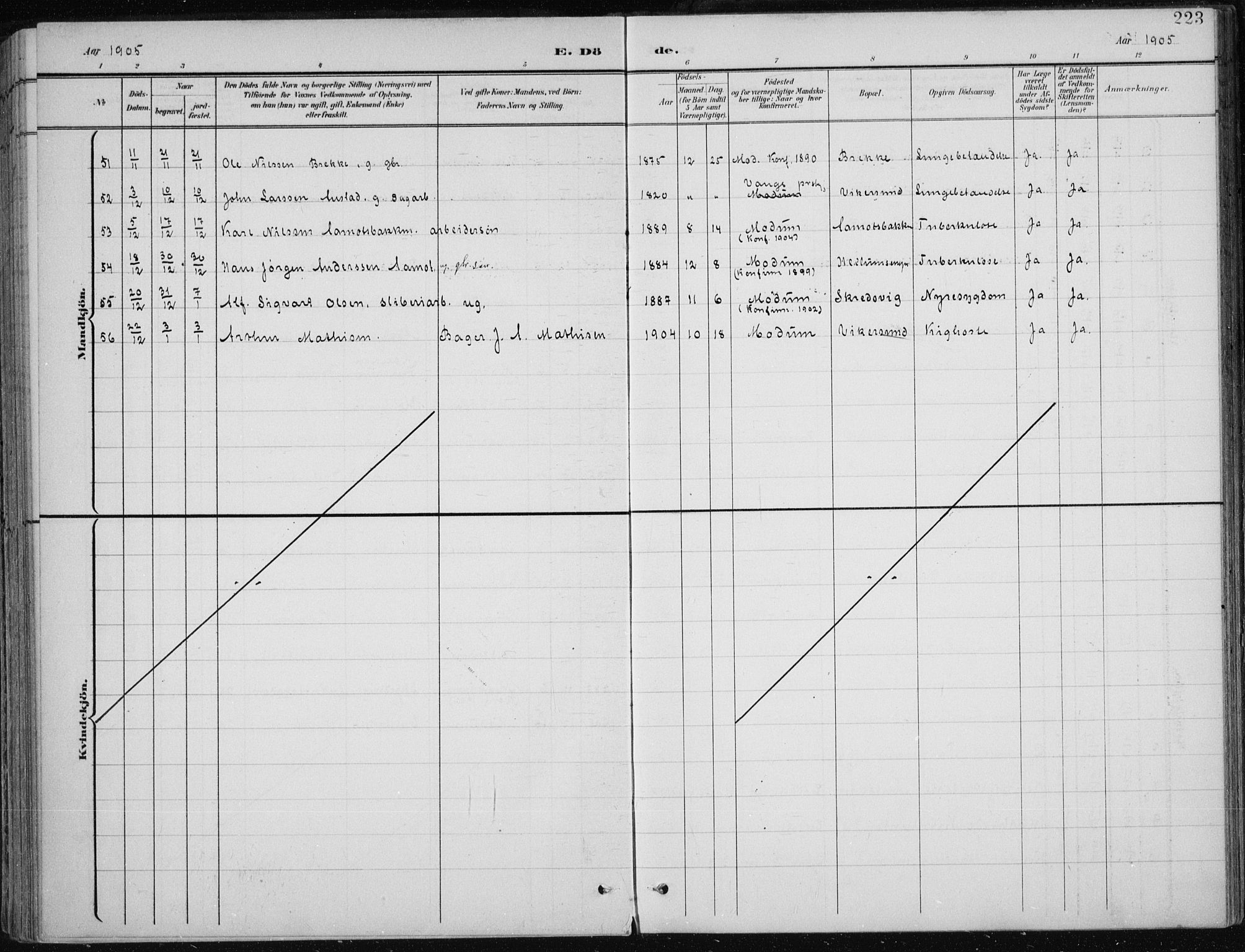 Modum kirkebøker, AV/SAKO-A-234/F/Fa/L0013: Ministerialbok nr. 13, 1899-1907, s. 223