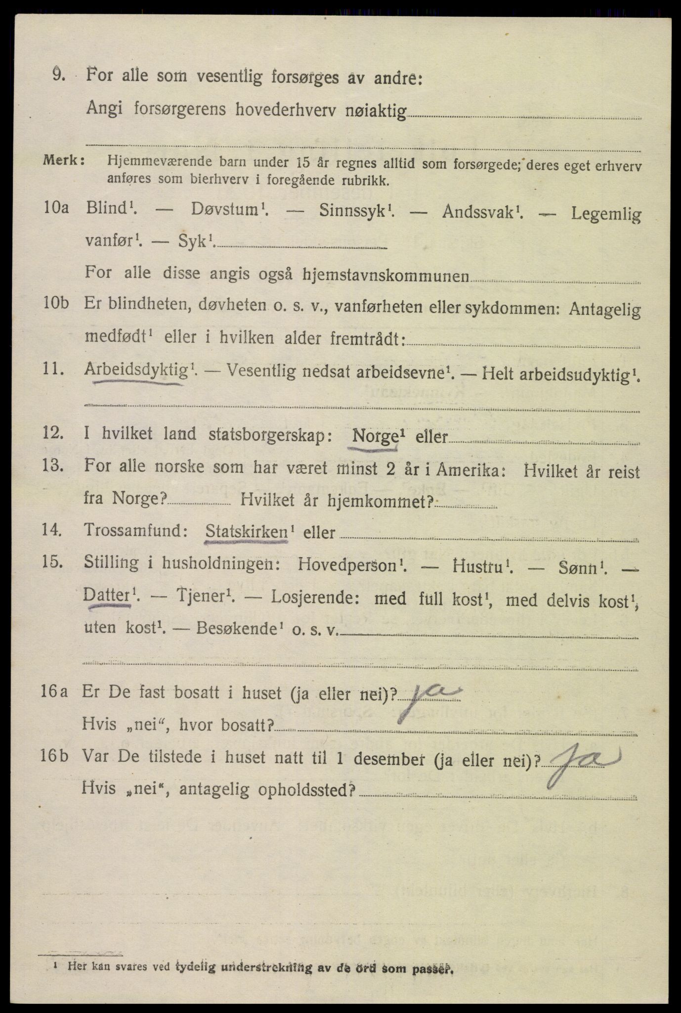 SAK, Folketelling 1920 for 0936 Hornnes herred, 1920, s. 3084