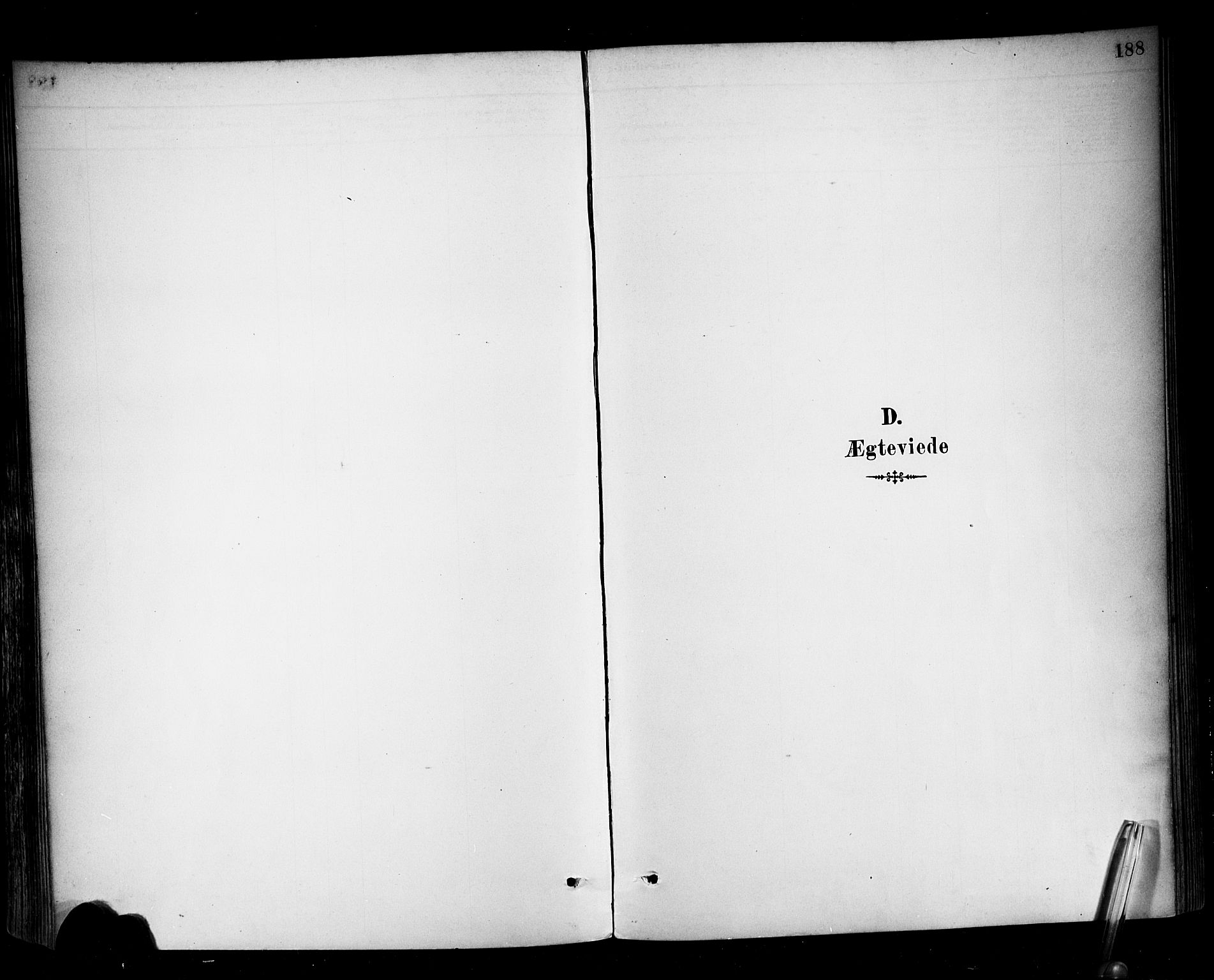 Ministerialprotokoller, klokkerbøker og fødselsregistre - Møre og Romsdal, SAT/A-1454/513/L0177: Ministerialbok nr. 513A04, 1890-1906, s. 188