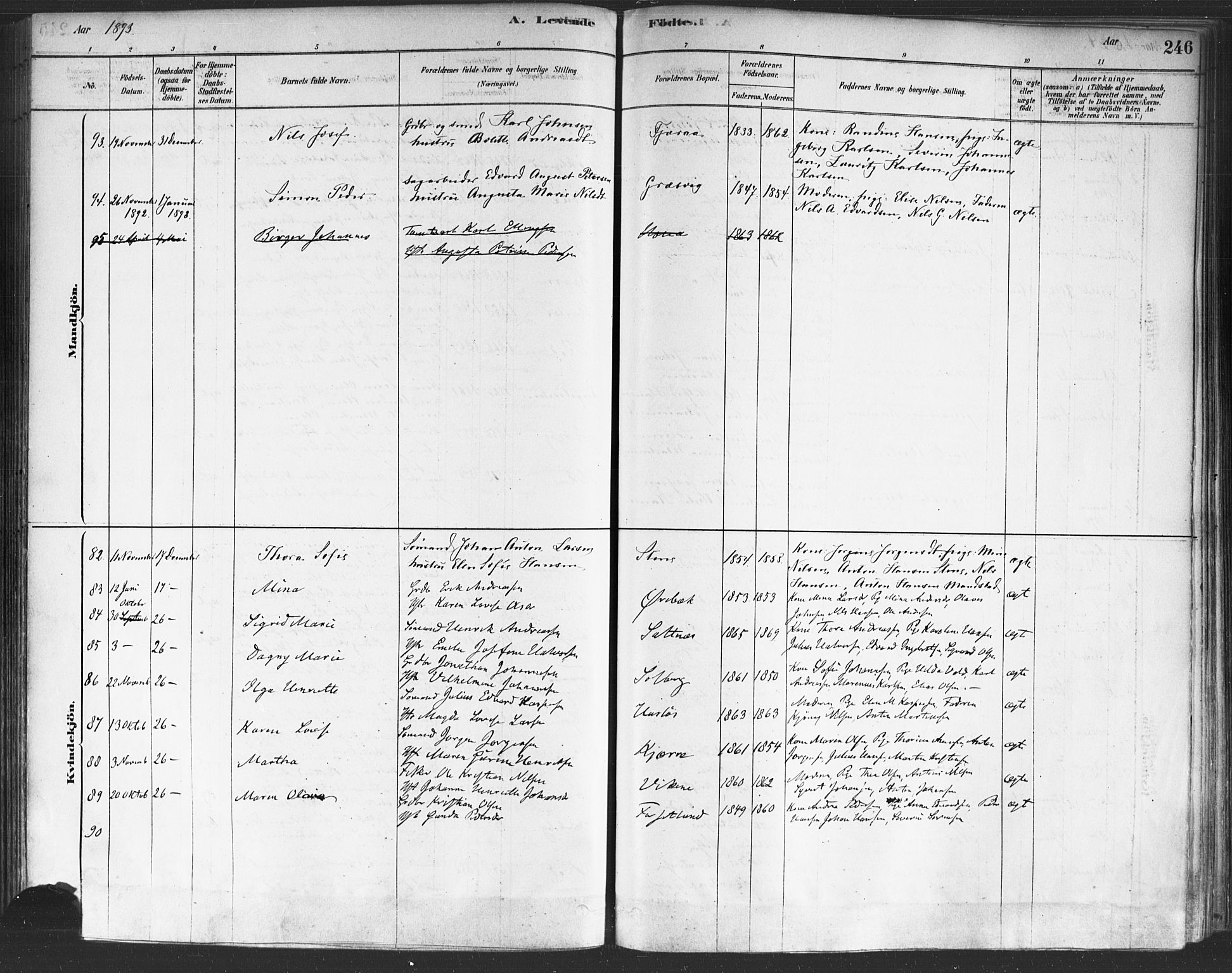 Onsøy prestekontor Kirkebøker, AV/SAO-A-10914/F/Fa/L0005: Ministerialbok nr. I 5, 1878-1898, s. 246