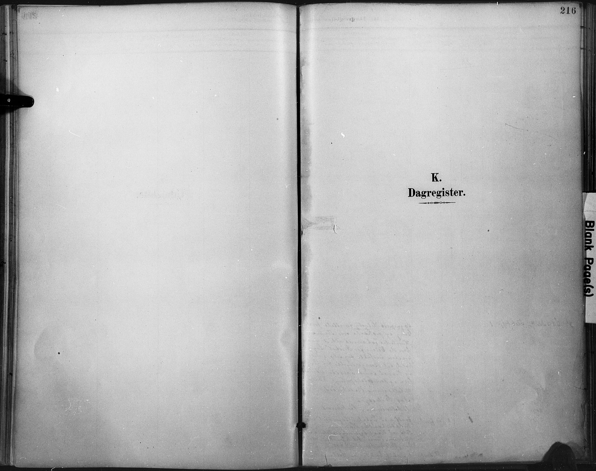 Flekkefjord sokneprestkontor, AV/SAK-1111-0012/F/Fa/Fac/L0008: Ministerialbok nr. A 8, 1885-1898, s. 216