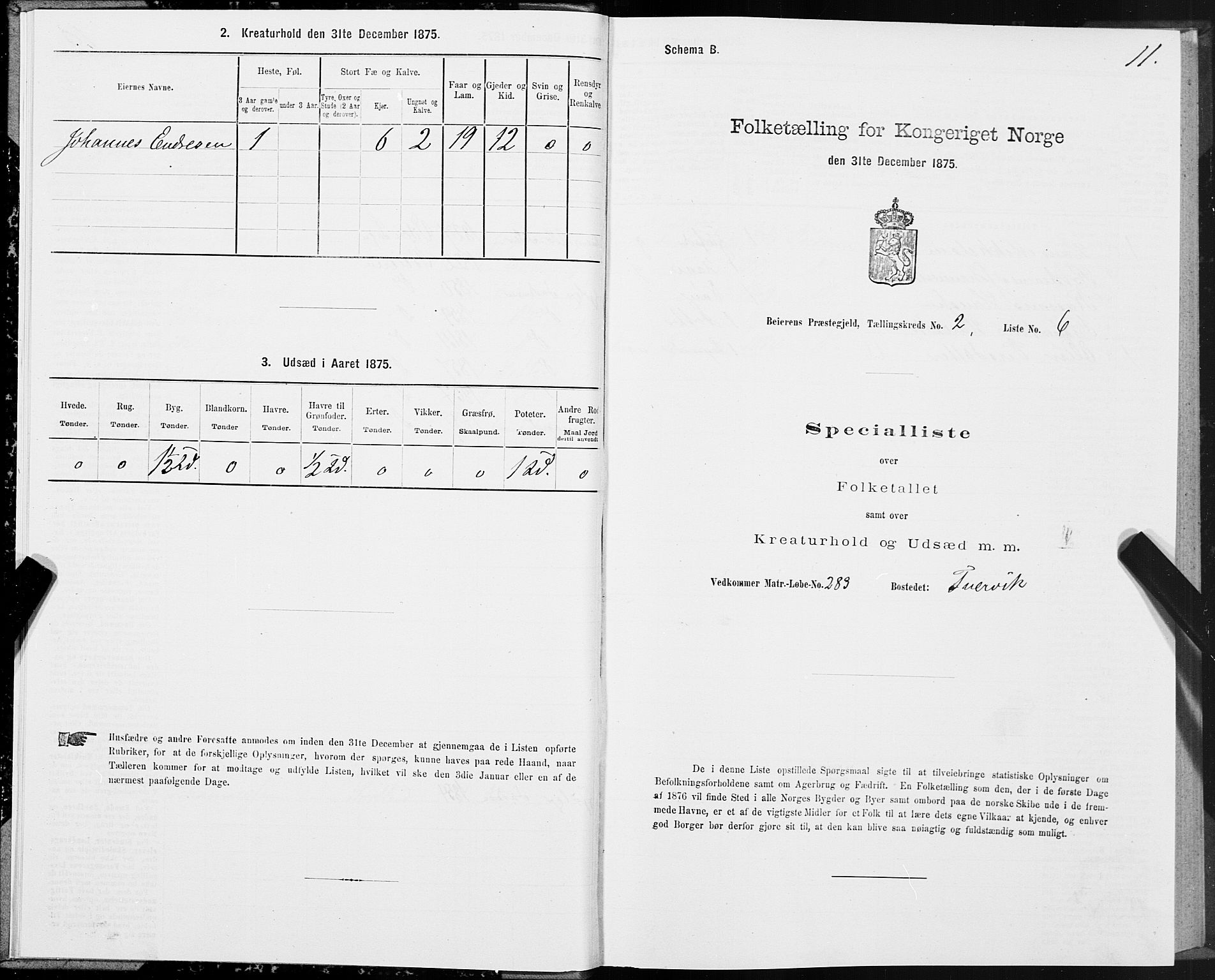 SAT, Folketelling 1875 for 1839P Beiarn prestegjeld, 1875, s. 2011