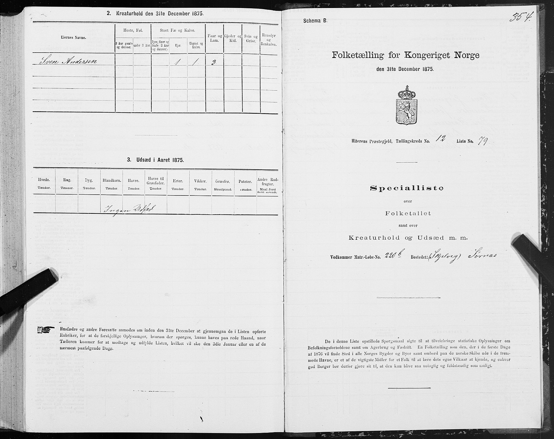 SAT, Folketelling 1875 for 1617P Hitra prestegjeld, 1875, s. 6354