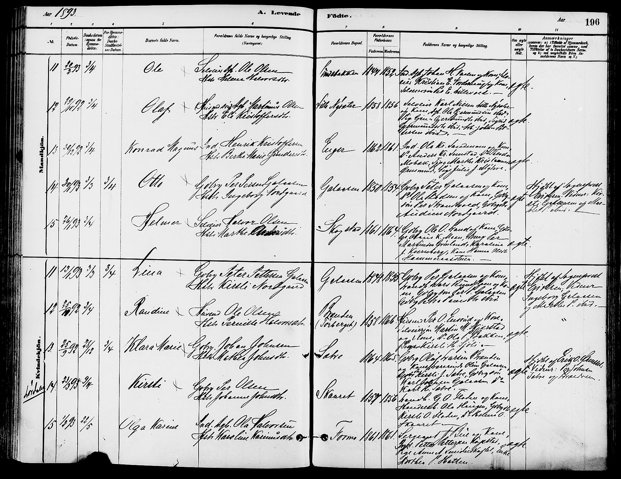 Trysil prestekontor, AV/SAH-PREST-046/H/Ha/Haa/L0008: Ministerialbok nr. 8, 1881-1897, s. 196