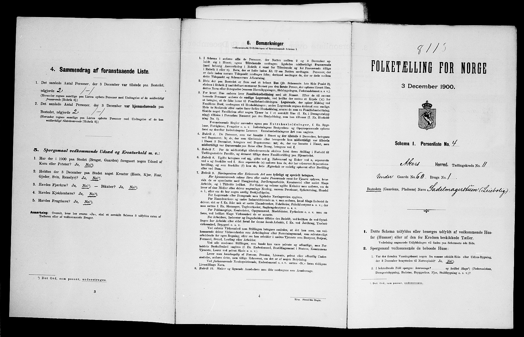 SAO, Folketelling 1900 for 0218 Aker herred, 1900