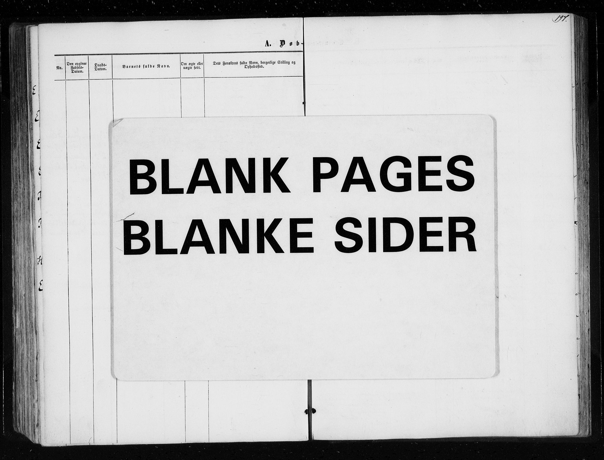 Eidsberg prestekontor Kirkebøker, SAO/A-10905/F/Fa/L0010.a: Ministerialbok nr. I 10A, 1857-1866, s. 197
