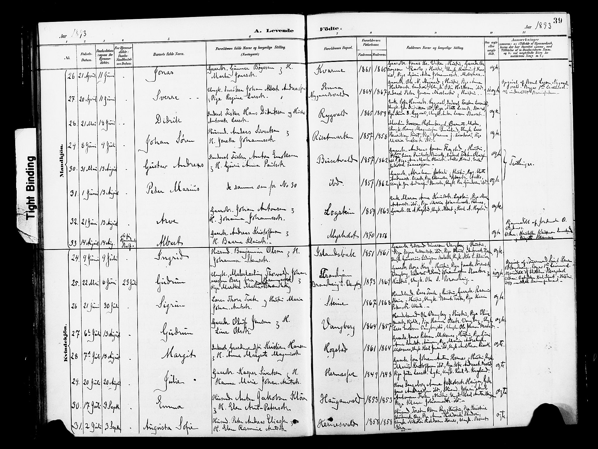 Ministerialprotokoller, klokkerbøker og fødselsregistre - Nord-Trøndelag, SAT/A-1458/713/L0121: Ministerialbok nr. 713A10, 1888-1898, s. 39