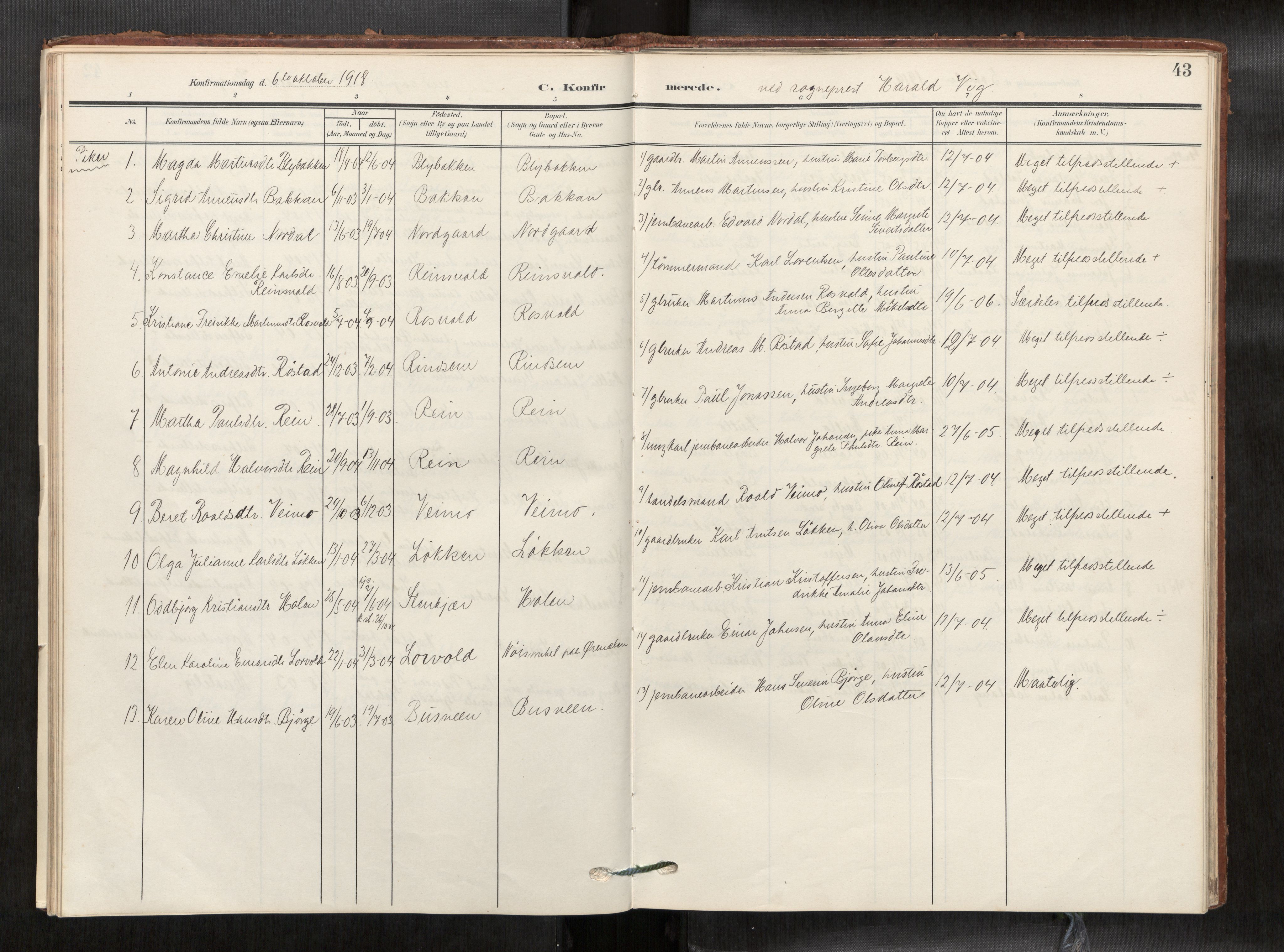 Verdal sokneprestkontor, AV/SAT-A-1156/2/H/Haa/L0003: Ministerialbok nr. 3, 1907-1921, s. 43