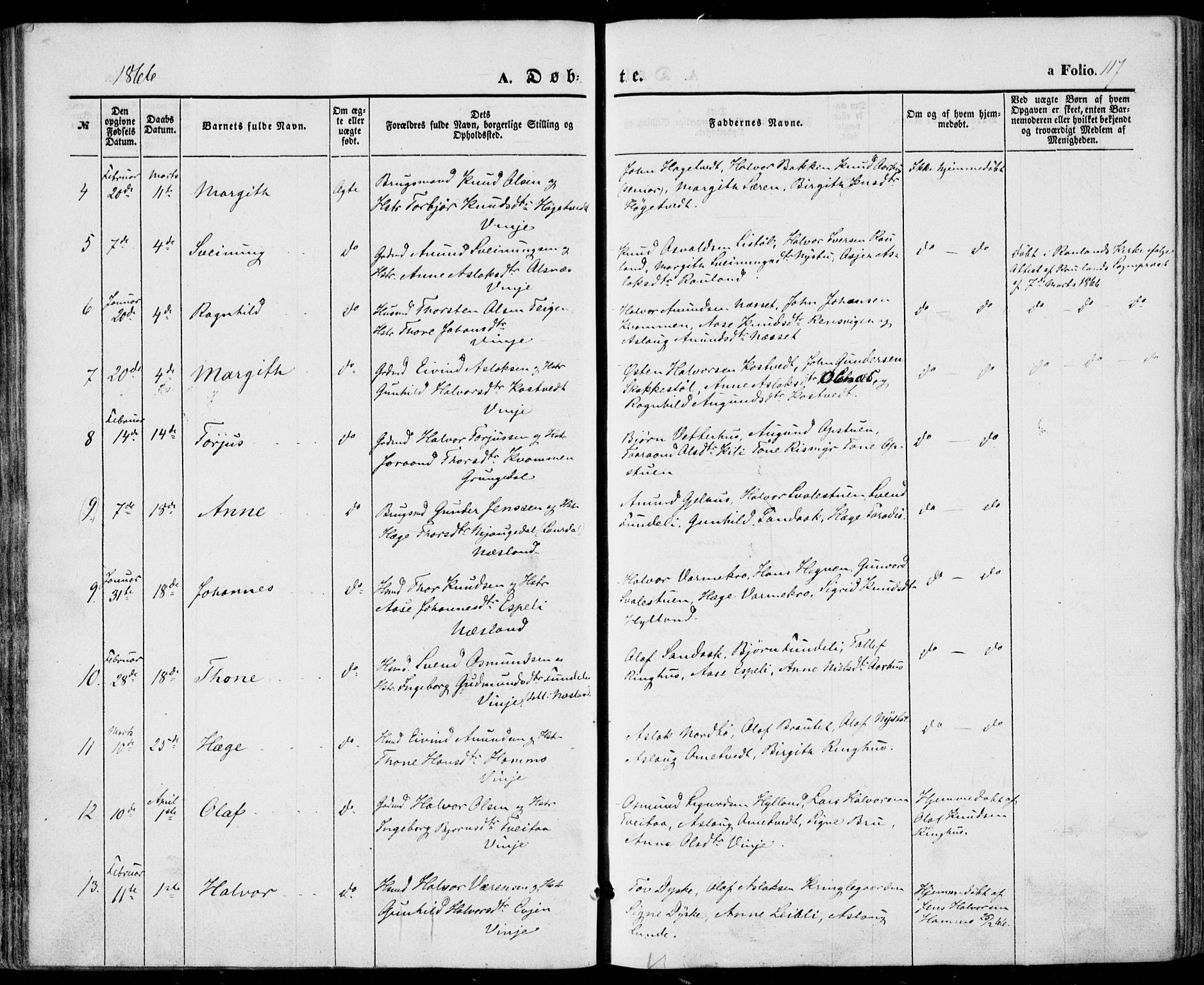 Vinje kirkebøker, AV/SAKO-A-312/F/Fa/L0004: Ministerialbok nr. I 4, 1843-1869, s. 117