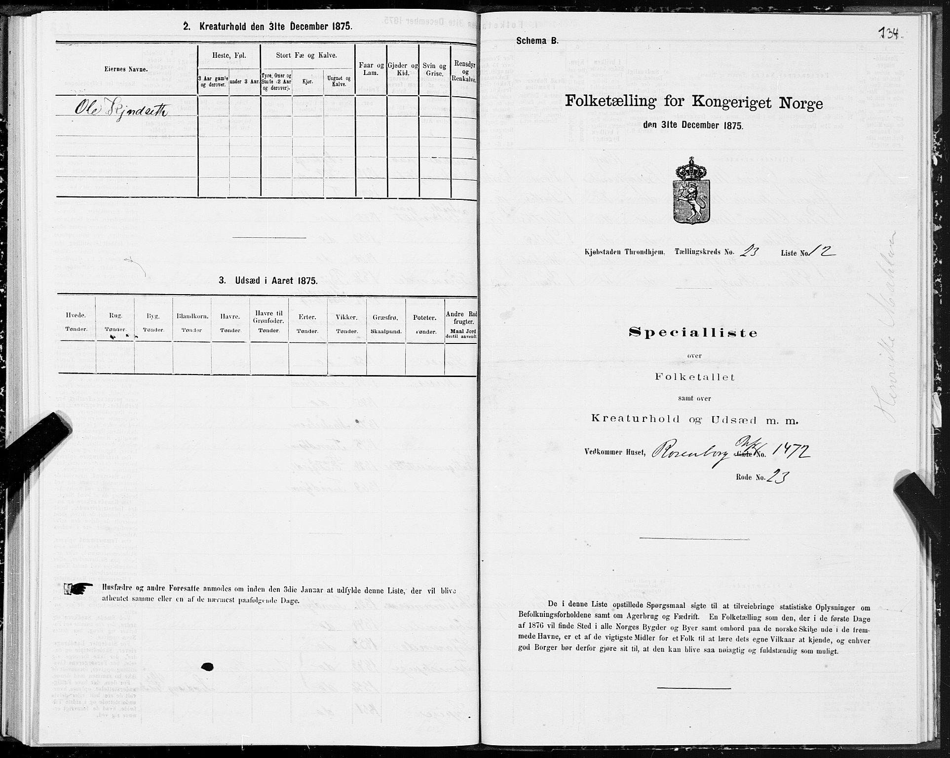 SAT, Folketelling 1875 for 1601 Trondheim kjøpstad, 1875, s. 12134