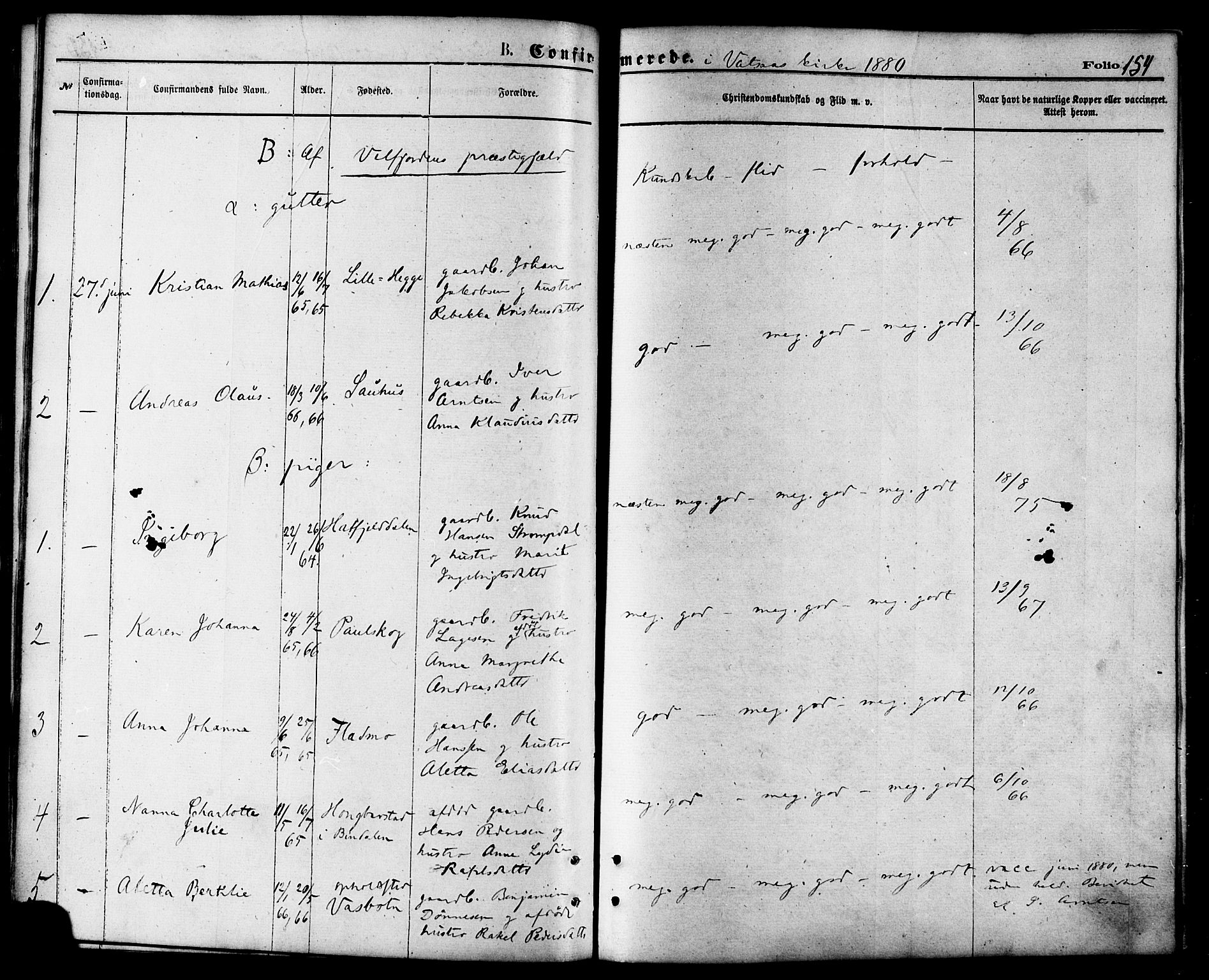 Ministerialprotokoller, klokkerbøker og fødselsregistre - Nordland, AV/SAT-A-1459/810/L0148: Ministerialbok nr. 810A09 /1, 1874-1884, s. 154