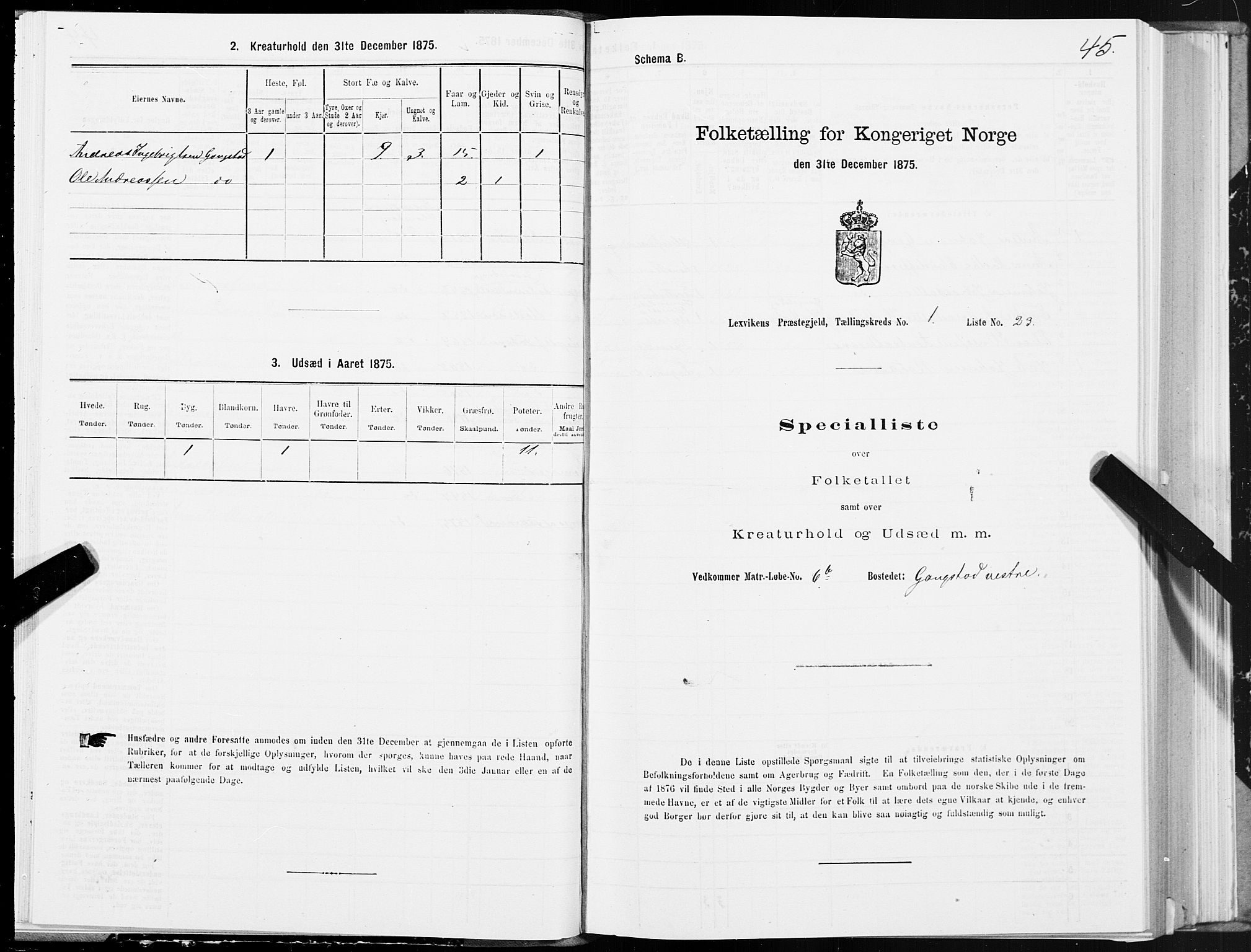 SAT, Folketelling 1875 for 1718P Leksvik prestegjeld, 1875, s. 1045