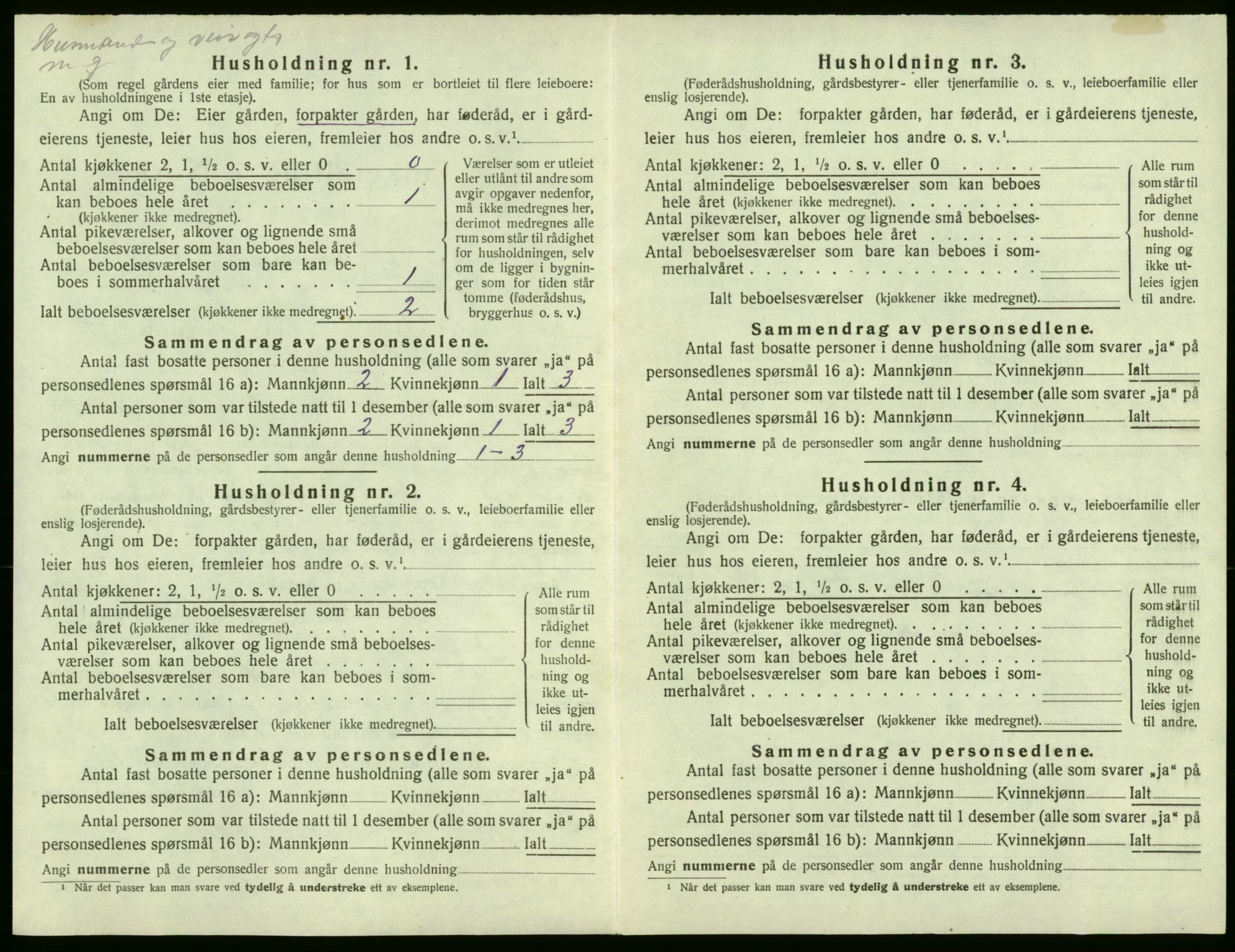 SAB, Folketelling 1920 for 1229 Røldal herred, 1920, s. 36