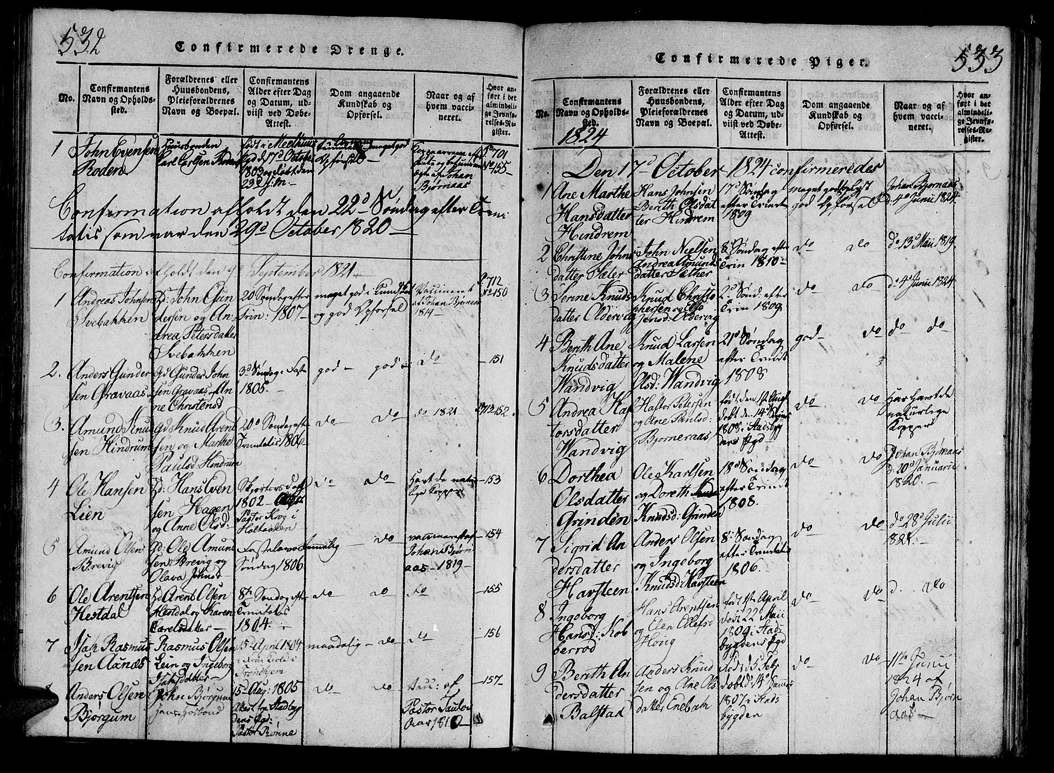 Ministerialprotokoller, klokkerbøker og fødselsregistre - Nord-Trøndelag, SAT/A-1458/701/L0005: Ministerialbok nr. 701A05 /2, 1816-1825, s. 532-533