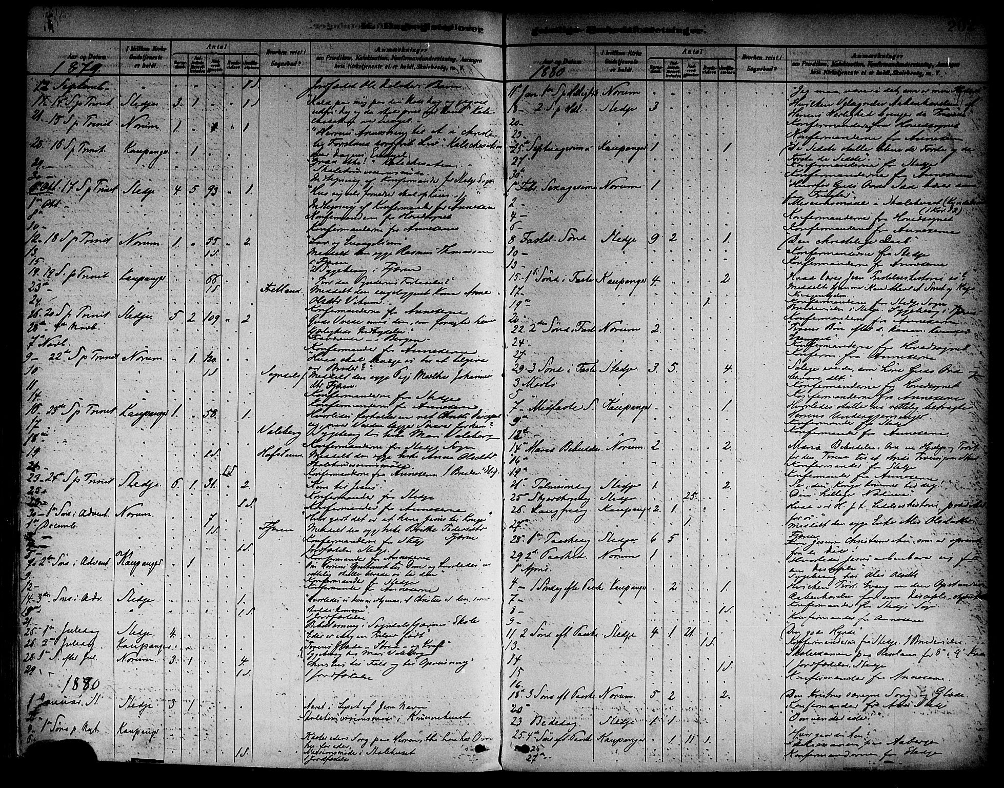 Sogndal sokneprestembete, AV/SAB-A-81301/H/Haa/Haab/L0001: Ministerialbok nr. B 1, 1878-1899, s. 202