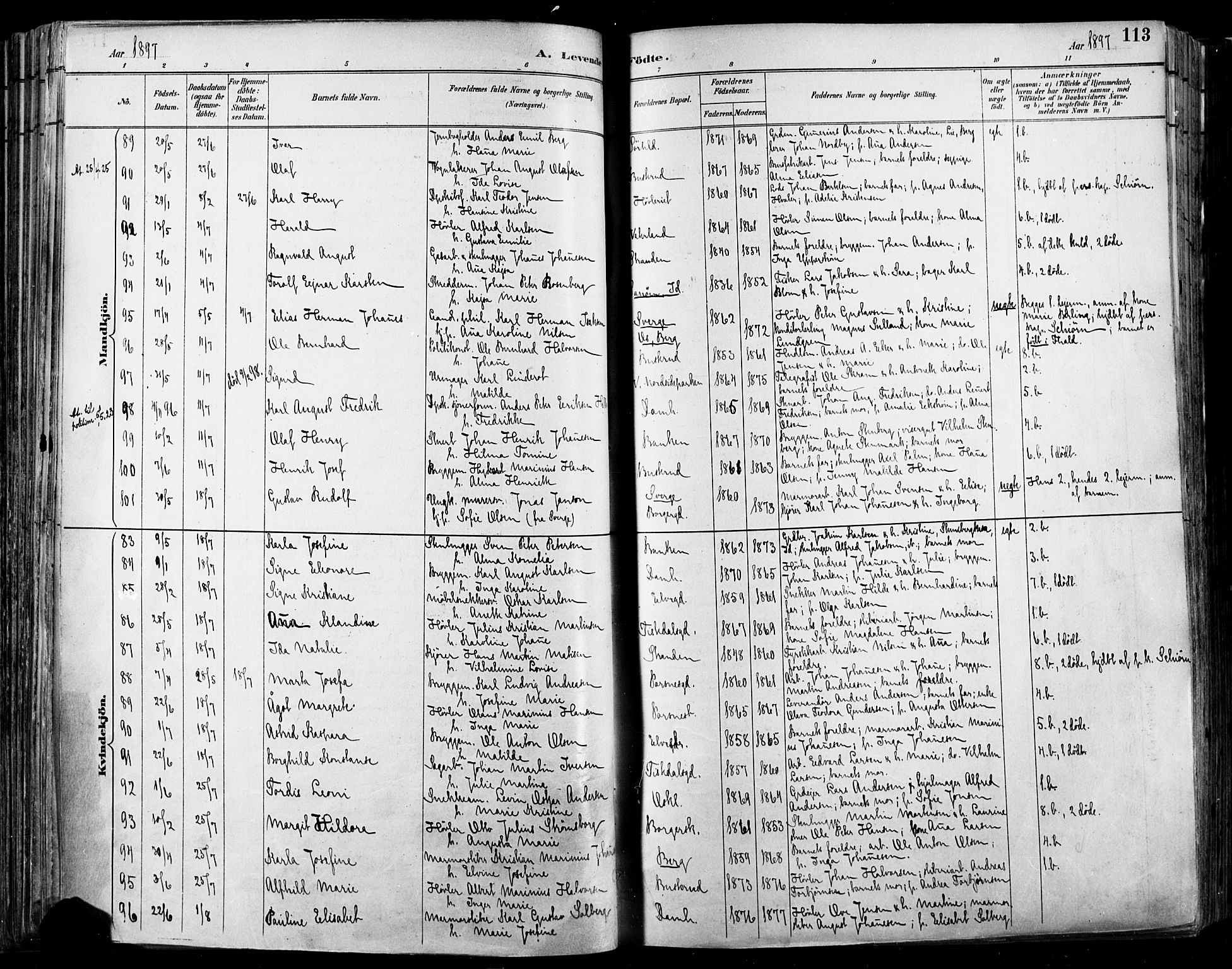 Halden prestekontor Kirkebøker, SAO/A-10909/F/Fa/L0013: Ministerialbok nr. I 13, 1890-1906, s. 113