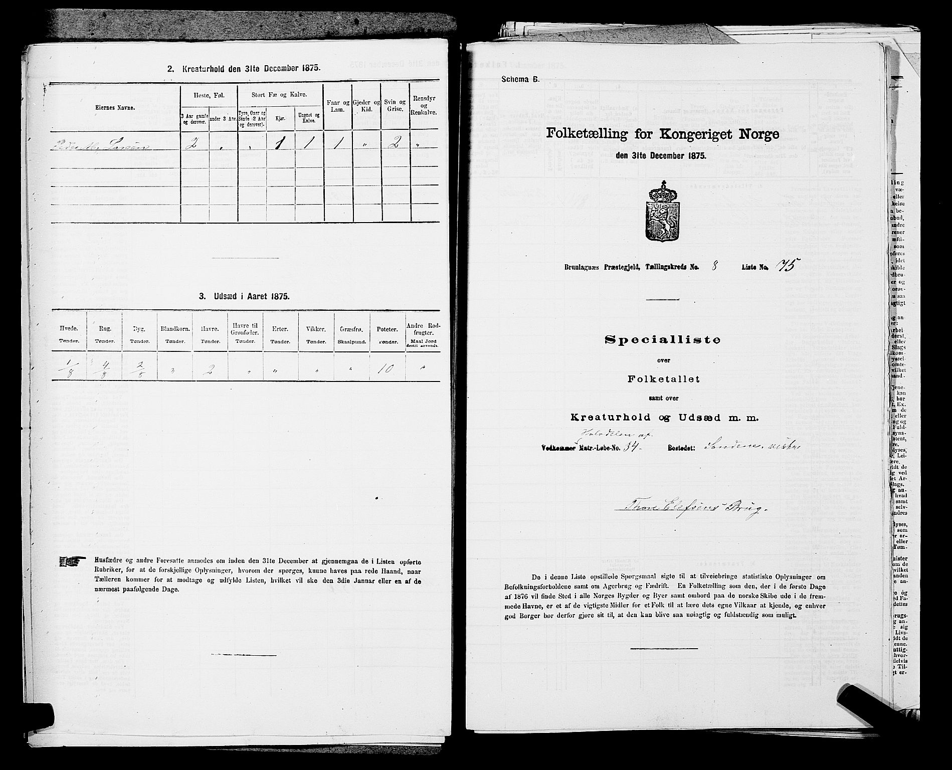 SAKO, Folketelling 1875 for 0726P Brunlanes prestegjeld, 1875, s. 1048