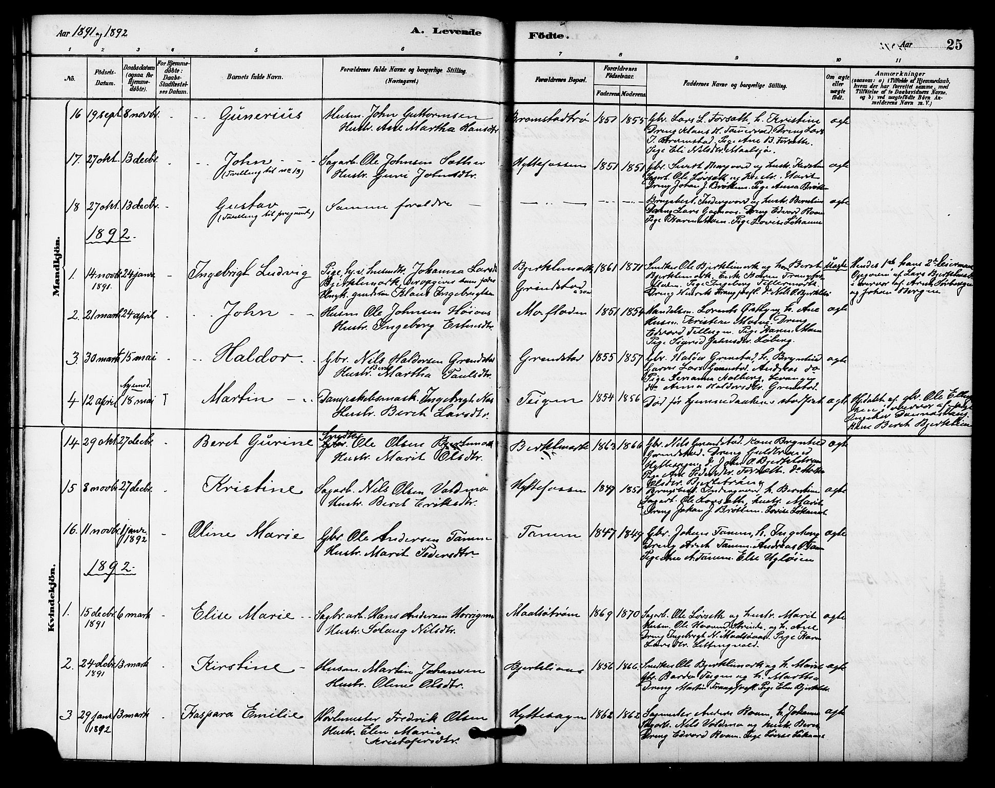 Ministerialprotokoller, klokkerbøker og fødselsregistre - Sør-Trøndelag, SAT/A-1456/618/L0444: Ministerialbok nr. 618A07, 1880-1898, s. 25