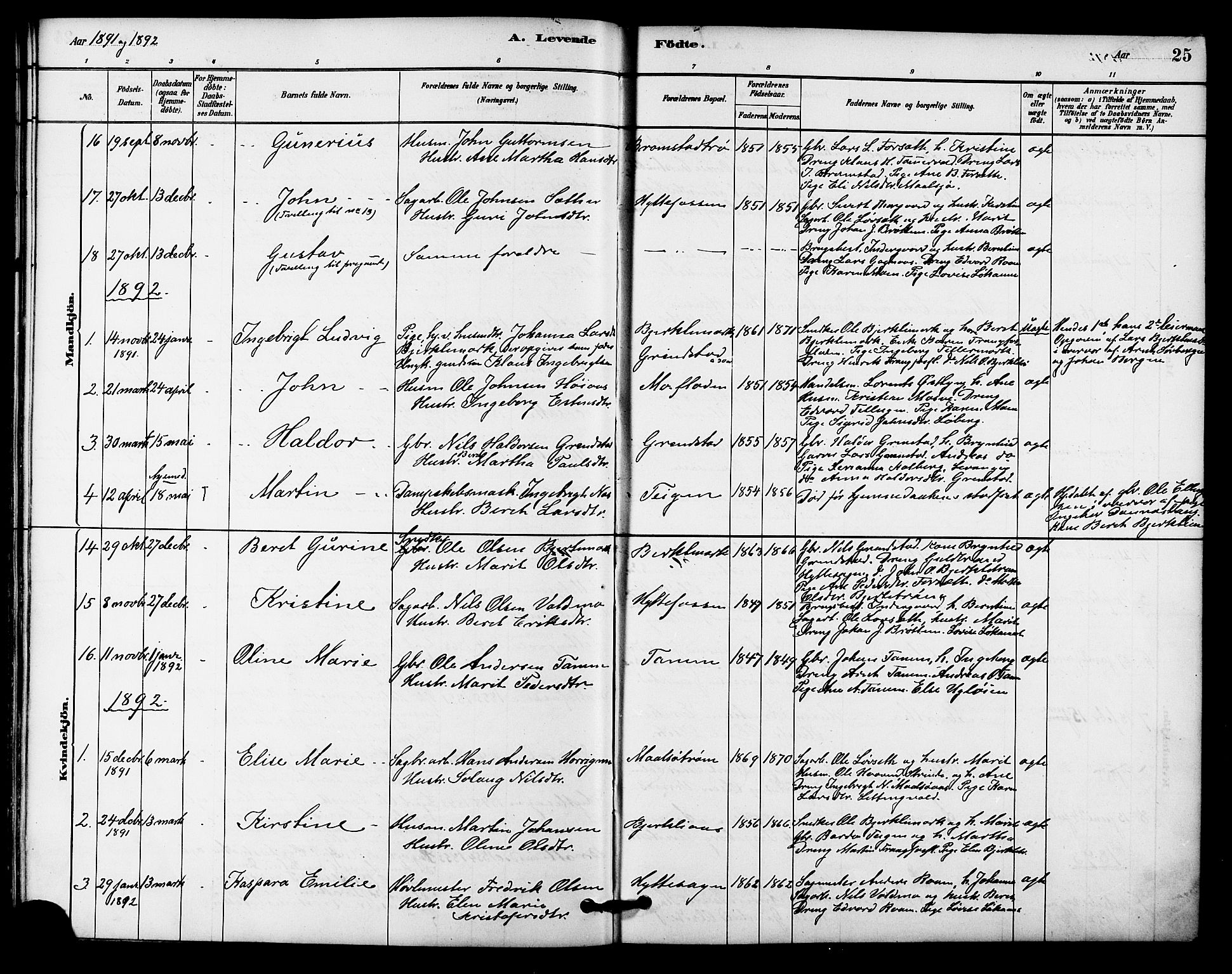 Ministerialprotokoller, klokkerbøker og fødselsregistre - Sør-Trøndelag, AV/SAT-A-1456/618/L0444: Ministerialbok nr. 618A07, 1880-1898, s. 25