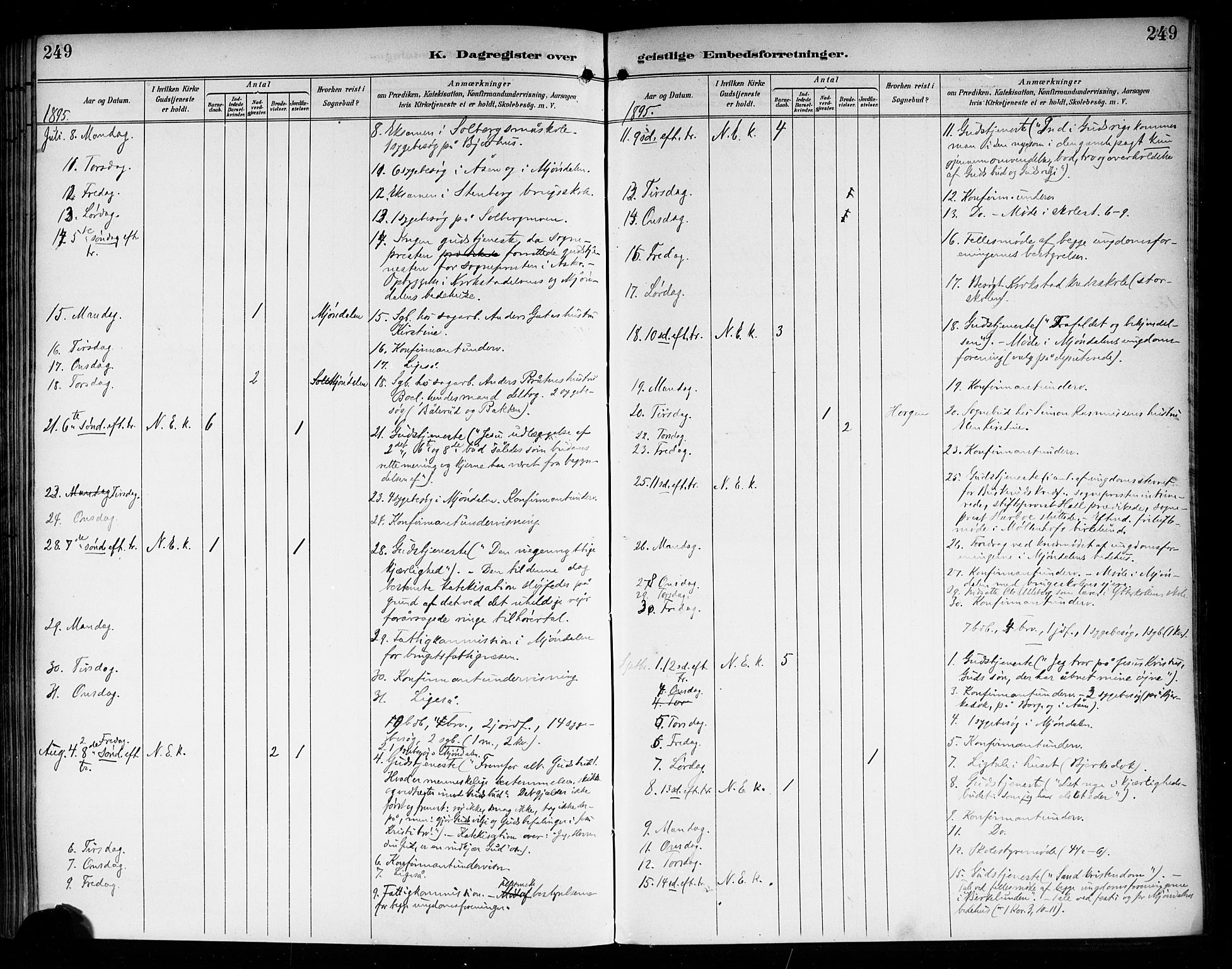 Nedre Eiker kirkebøker, AV/SAKO-A-612/F/Fa/L0004: Ministerialbok nr. 4, 1893-1898, s. 249